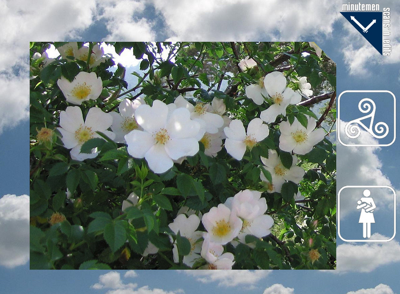 Read online The Lone Ranger (2006) comic -  Issue #20 - 27