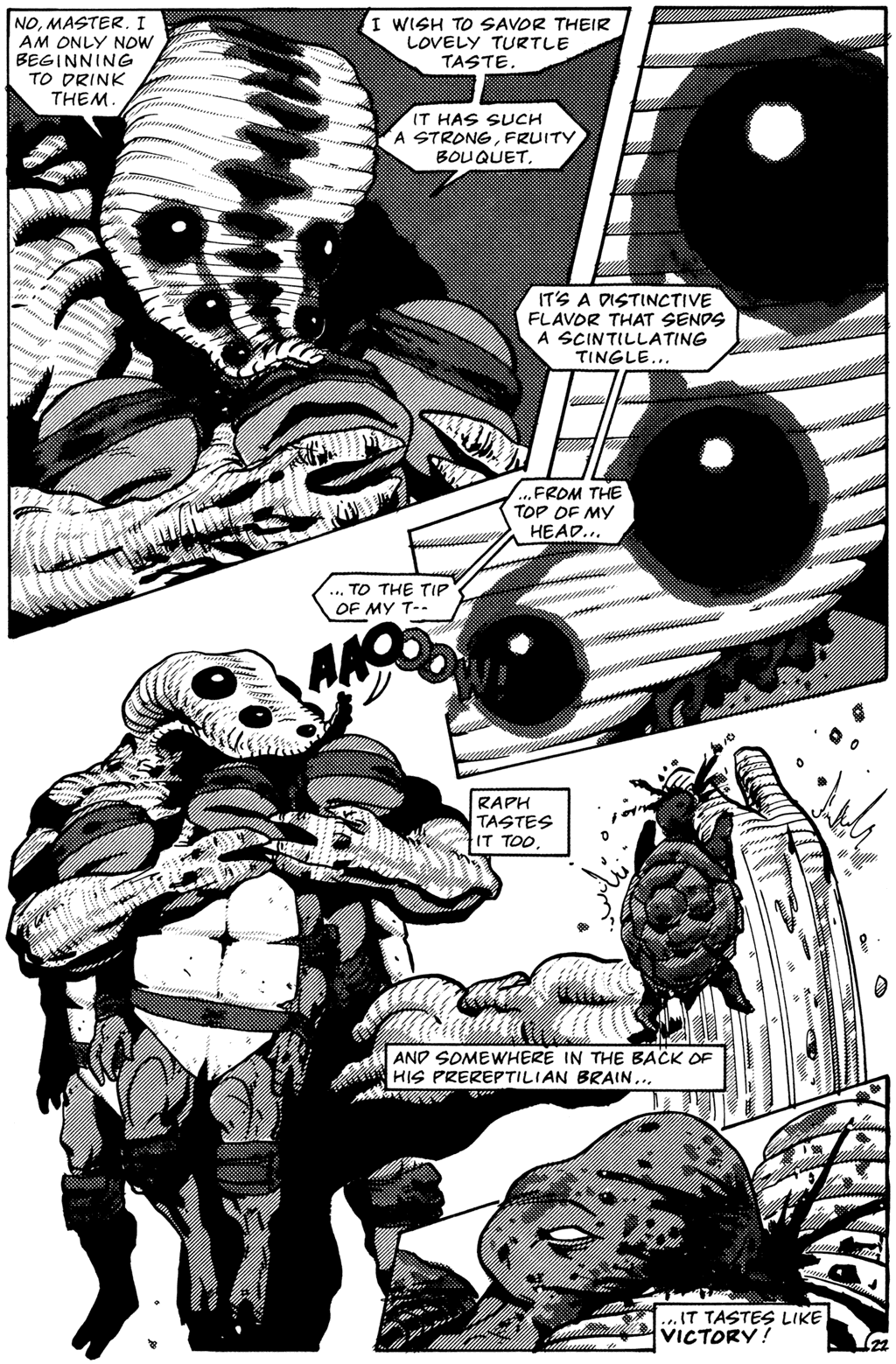 Read online Teenage Mutant Ninja Turtles (1984) comic -  Issue #26 - 24