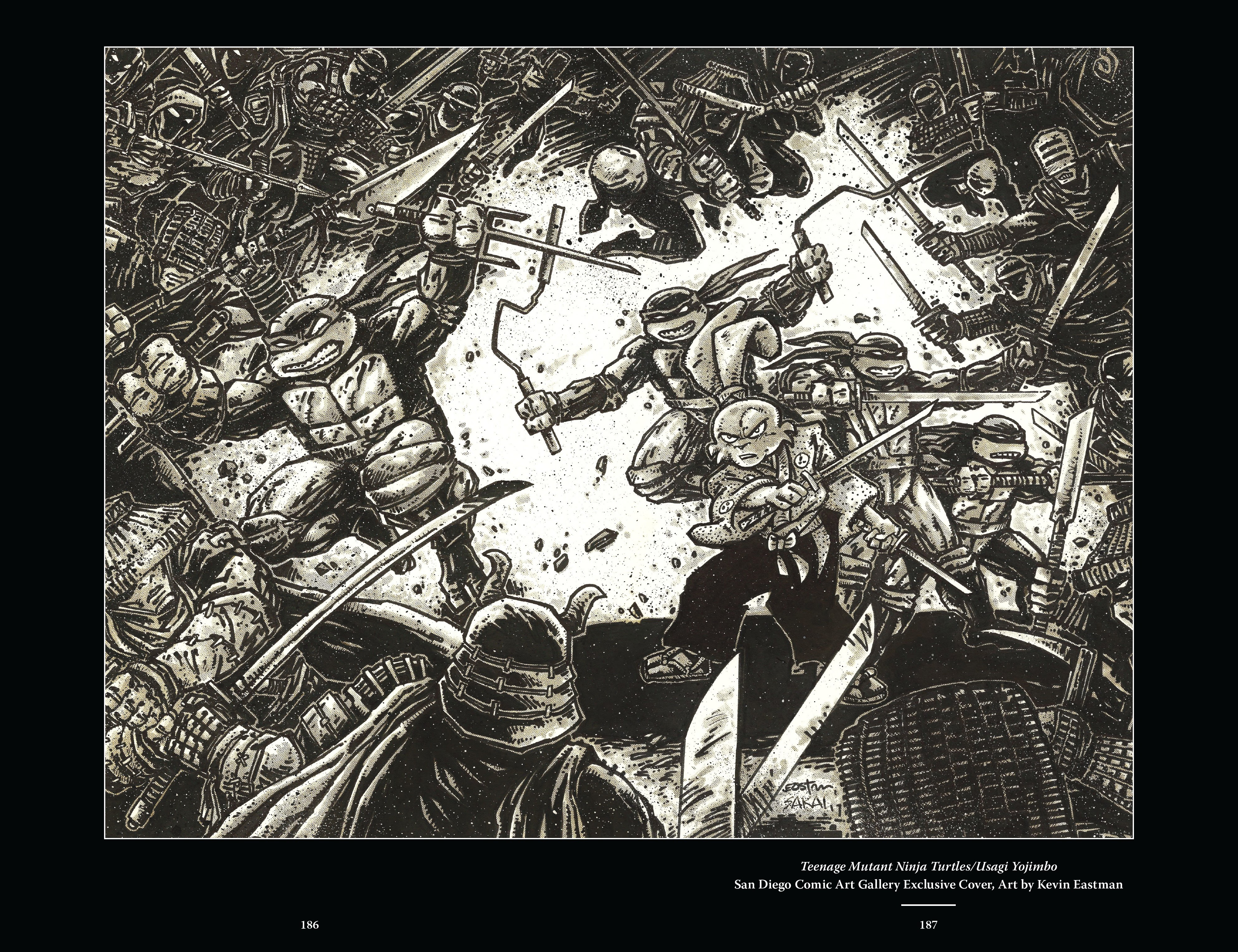 Read online Usagi Yojimbo/Teenage Mutant Ninja Turtles: The Complete Collection comic -  Issue # TPB (Part 2) - 77