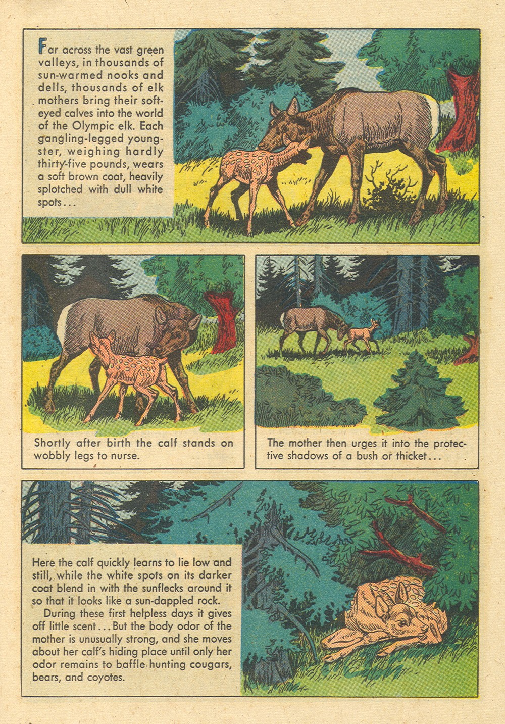 Read online Four Color Comics comic -  Issue #700 - 29