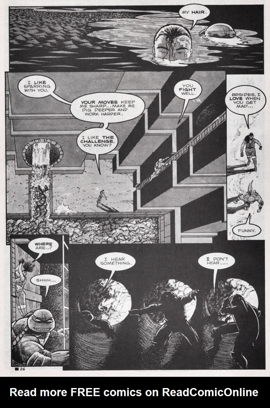 Teenage Mutant Ninja Turtles (1984) Issue #44 #44 - English 26