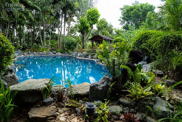 cintai coritos garden swimming pool