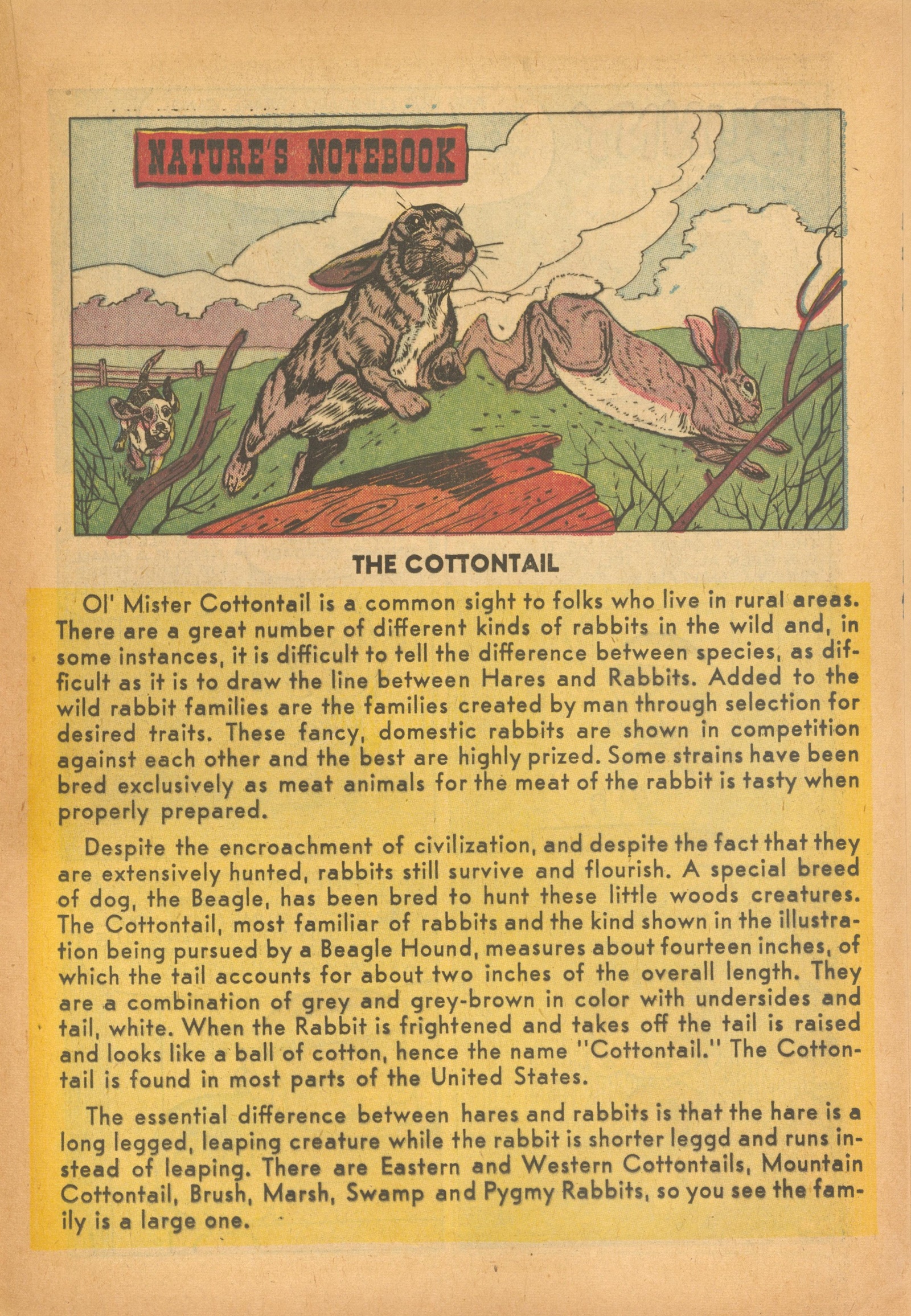 Read online Pat the Brat comic -  Issue #27 - 21