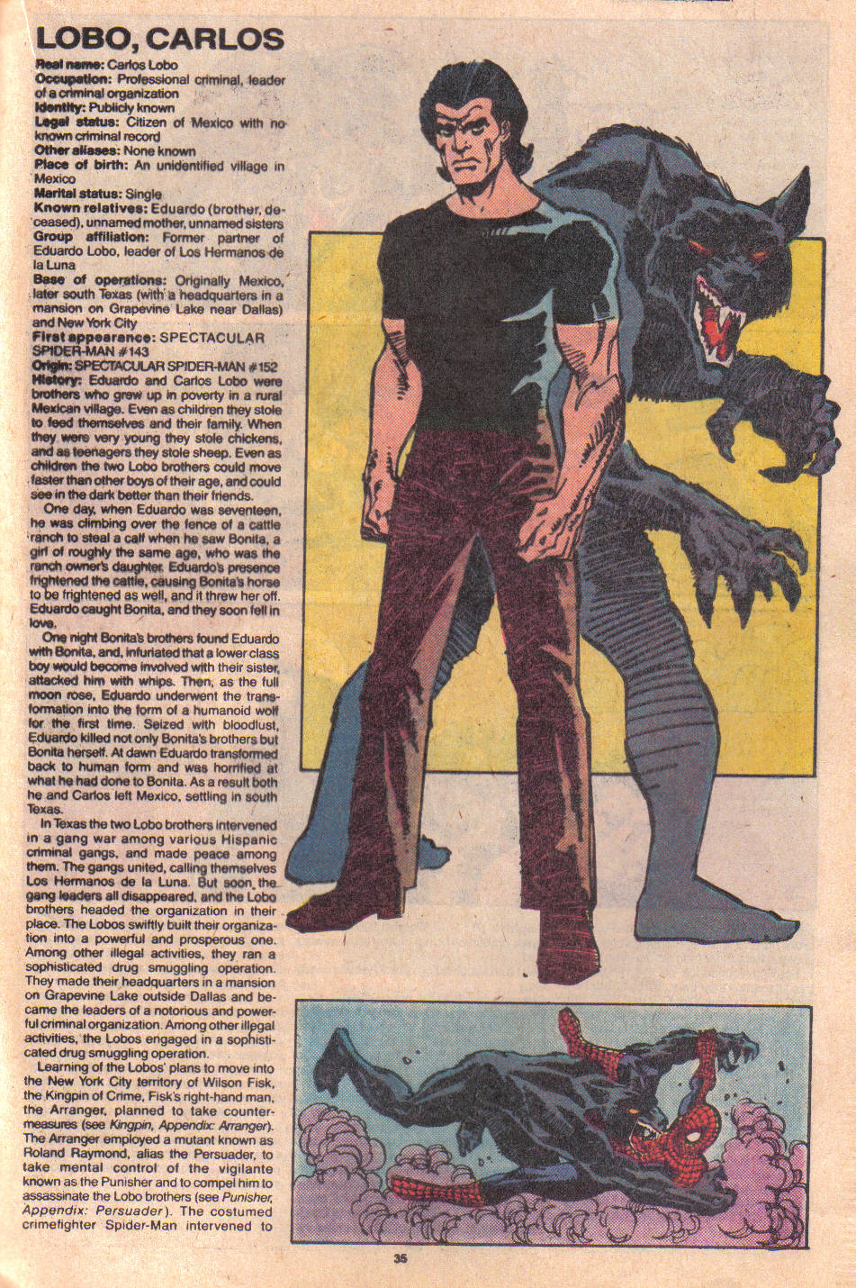 Read online The Official Handbook of the Marvel Universe: Update '89 comic -  Issue #4 - 37