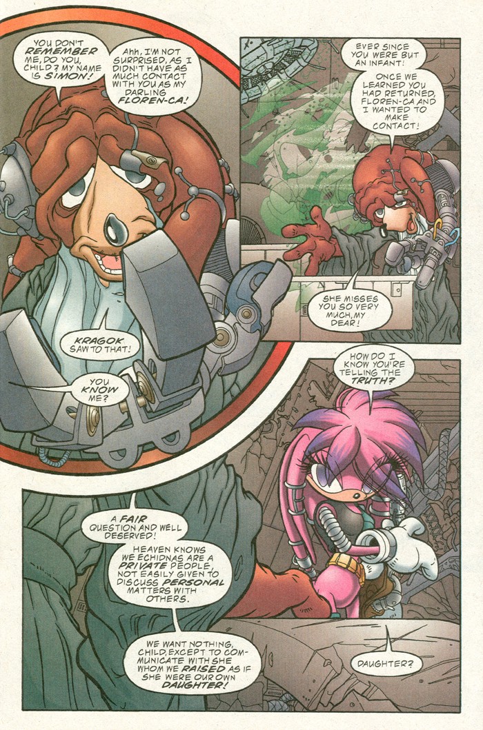 Read online Sonic Super Special comic -  Issue #11 - Girls Rule! - 39