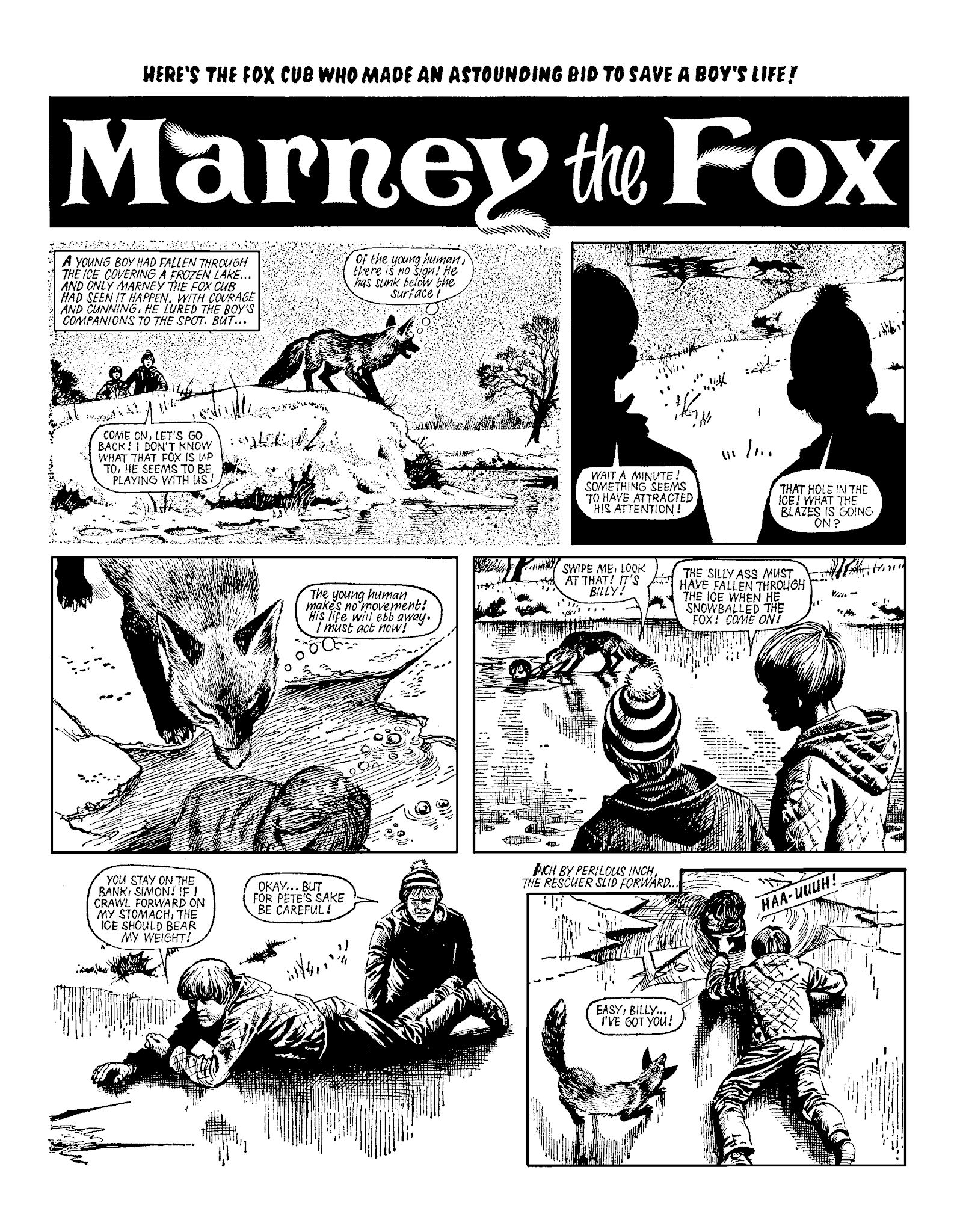 Read online Marney the Fox comic -  Issue # TPB (Part 2) - 54