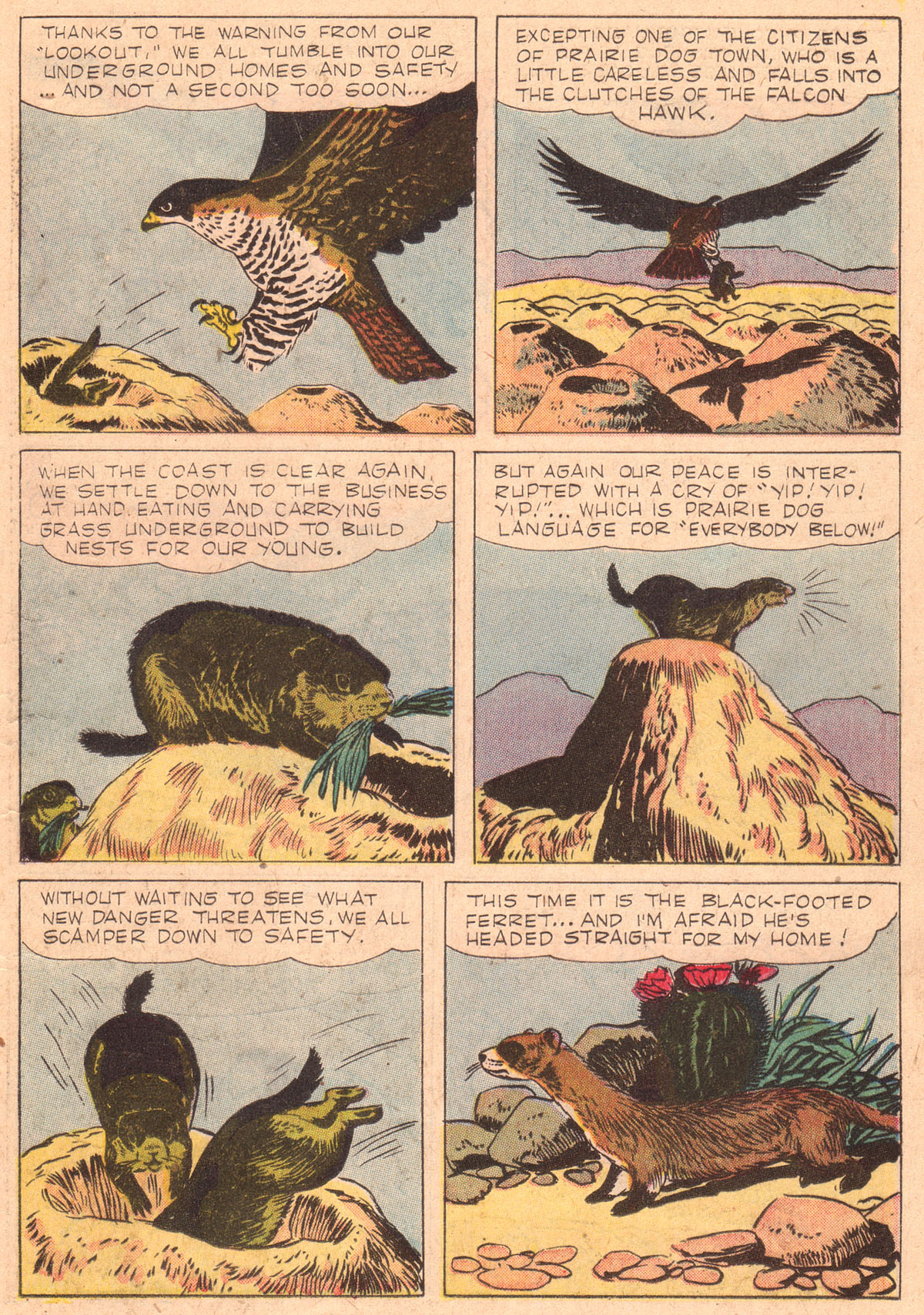 Read online Four Color Comics comic -  Issue #842 - 18