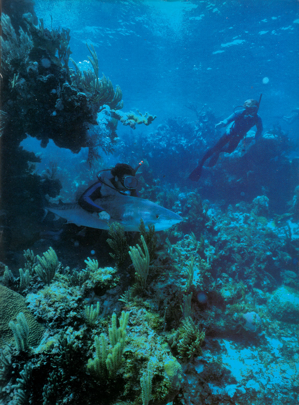 Read online Marvel Comics Super Special comic -  Issue #19 - 67