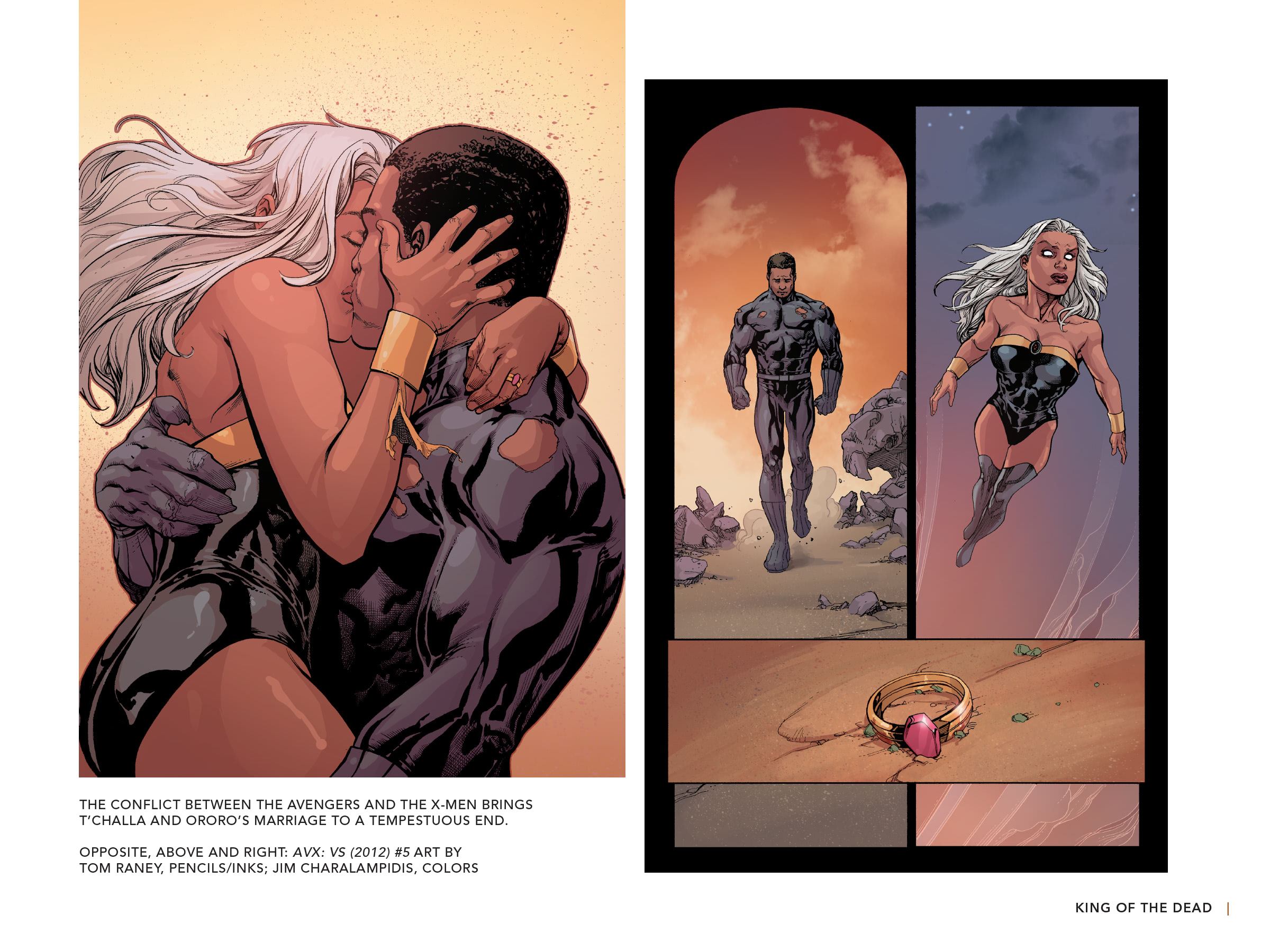 Read online Black Panther: Visions of Wakanda comic -  Issue # TPB (Part 3) - 57