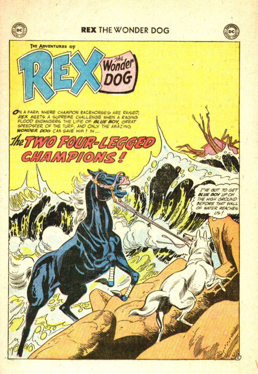 Read online The Adventures of Rex the Wonder Dog comic -  Issue #26 - 25