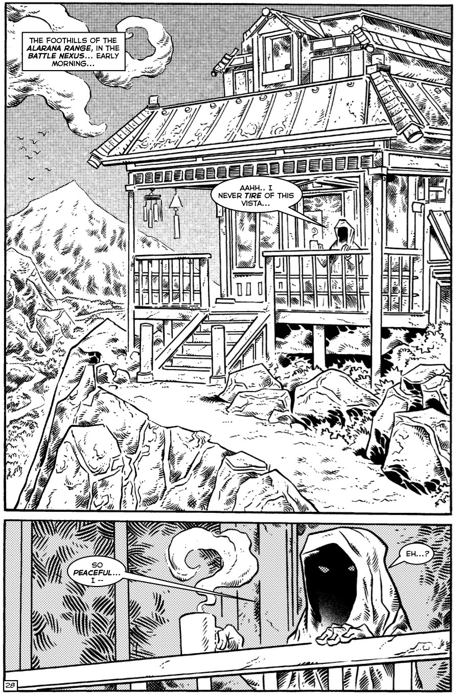 Read online TMNT: Teenage Mutant Ninja Turtles comic -  Issue #31 - 28