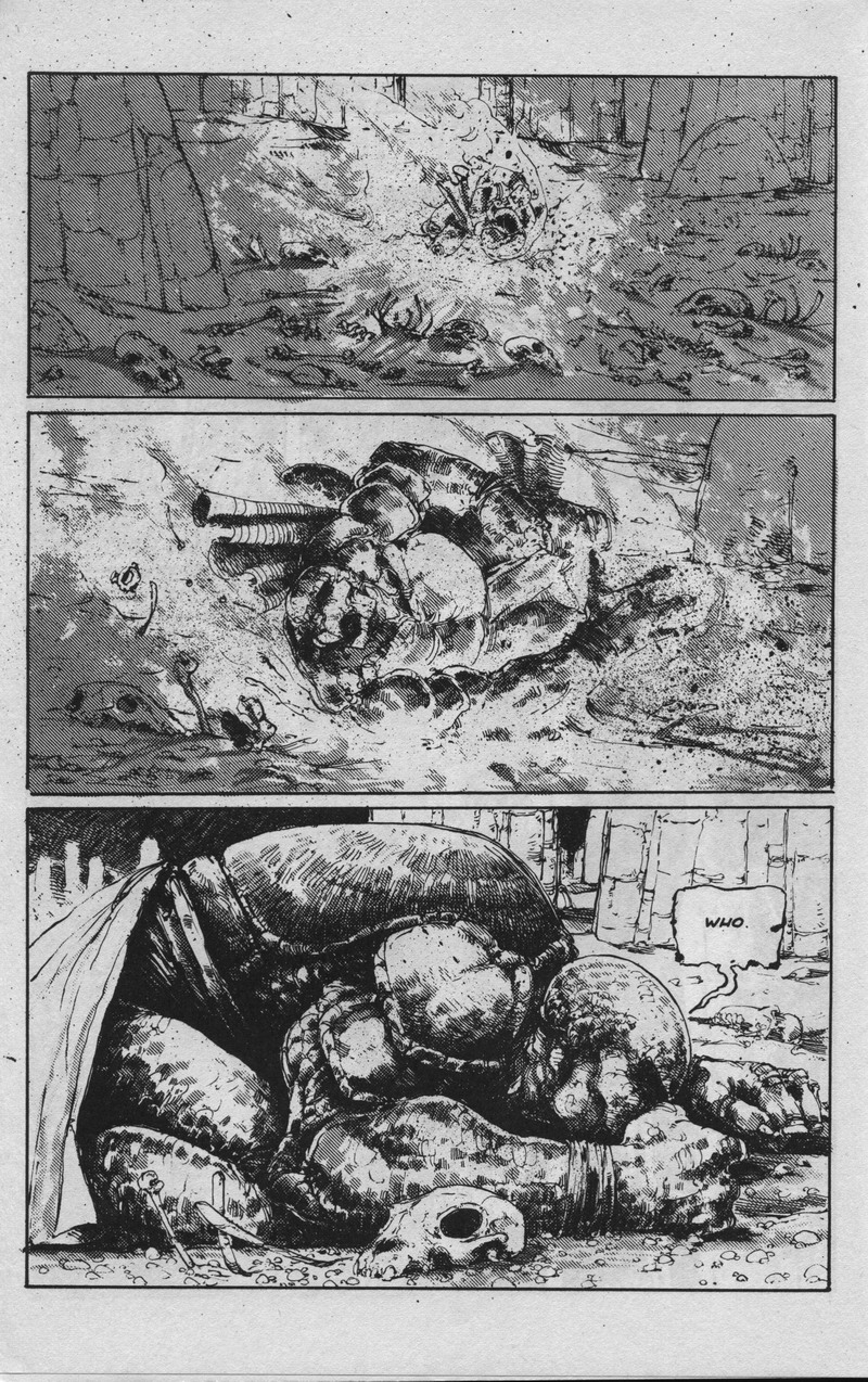 Teenage Mutant Ninja Turtles (1984) Issue #36 #36 - English 17