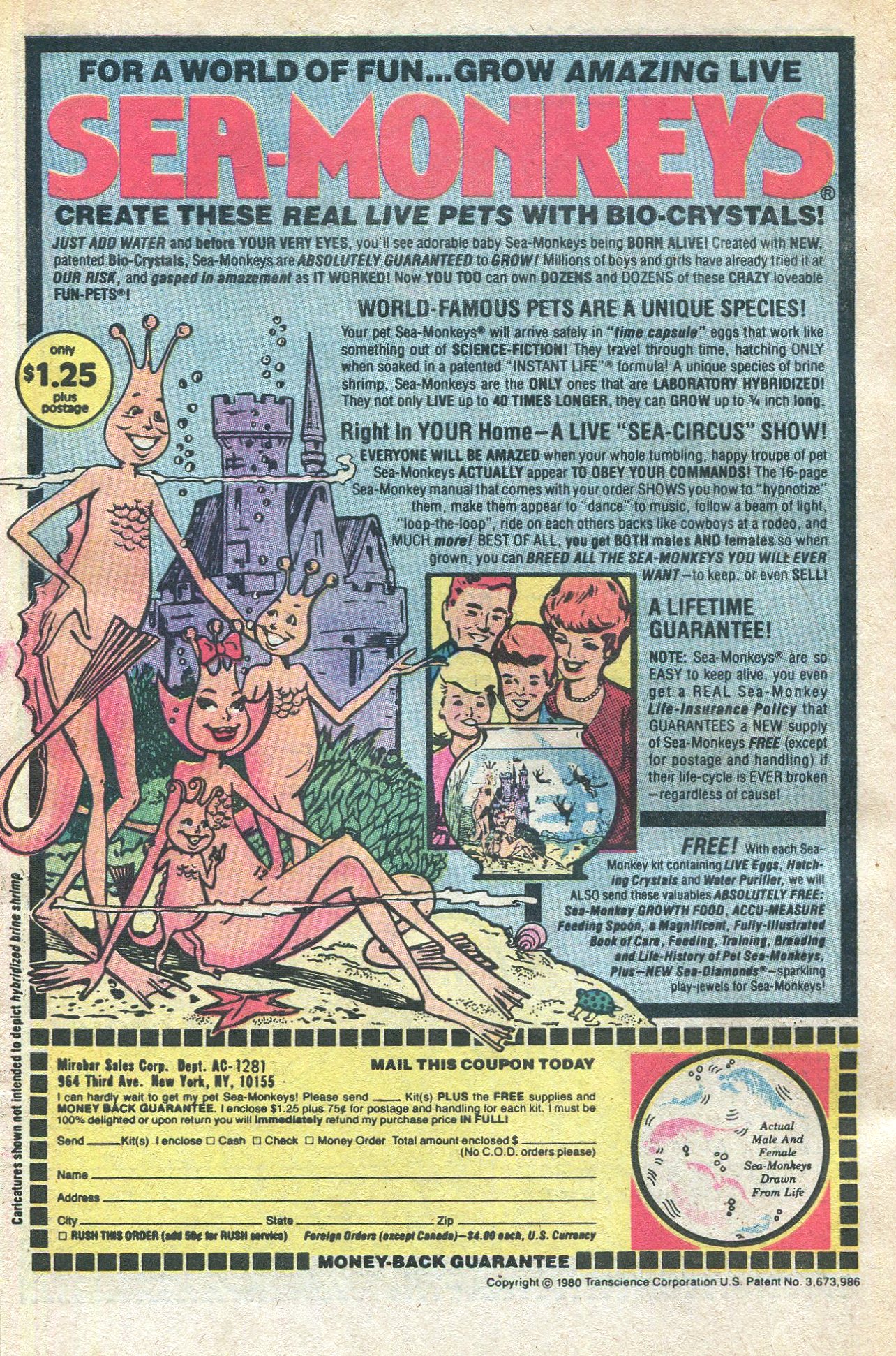 Read online Archie's Joke Book Magazine comic -  Issue #283 - 34