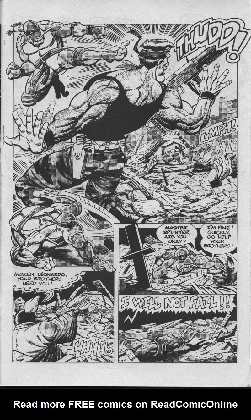 Teenage Mutant Ninja Turtles (1984) Issue #34 #34 - English 26