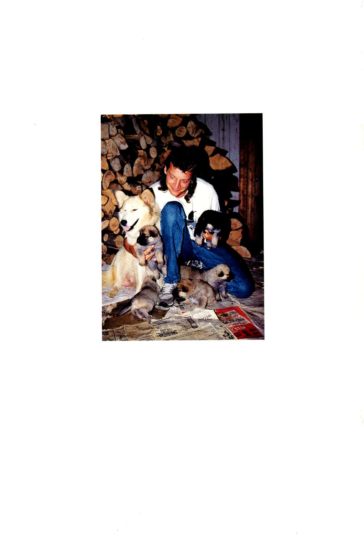 Read online Cerebus comic -  Issue #149 - 35