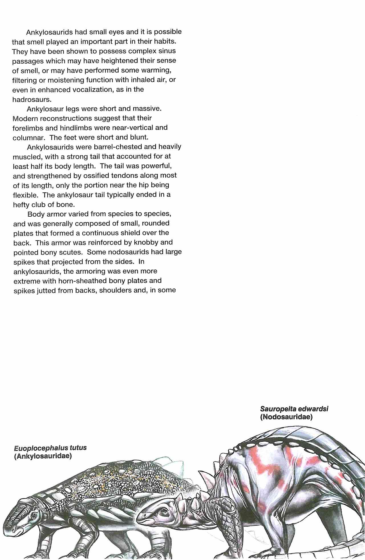 Read online Dinosaurs, A Celebration comic -  Issue #4 - 8