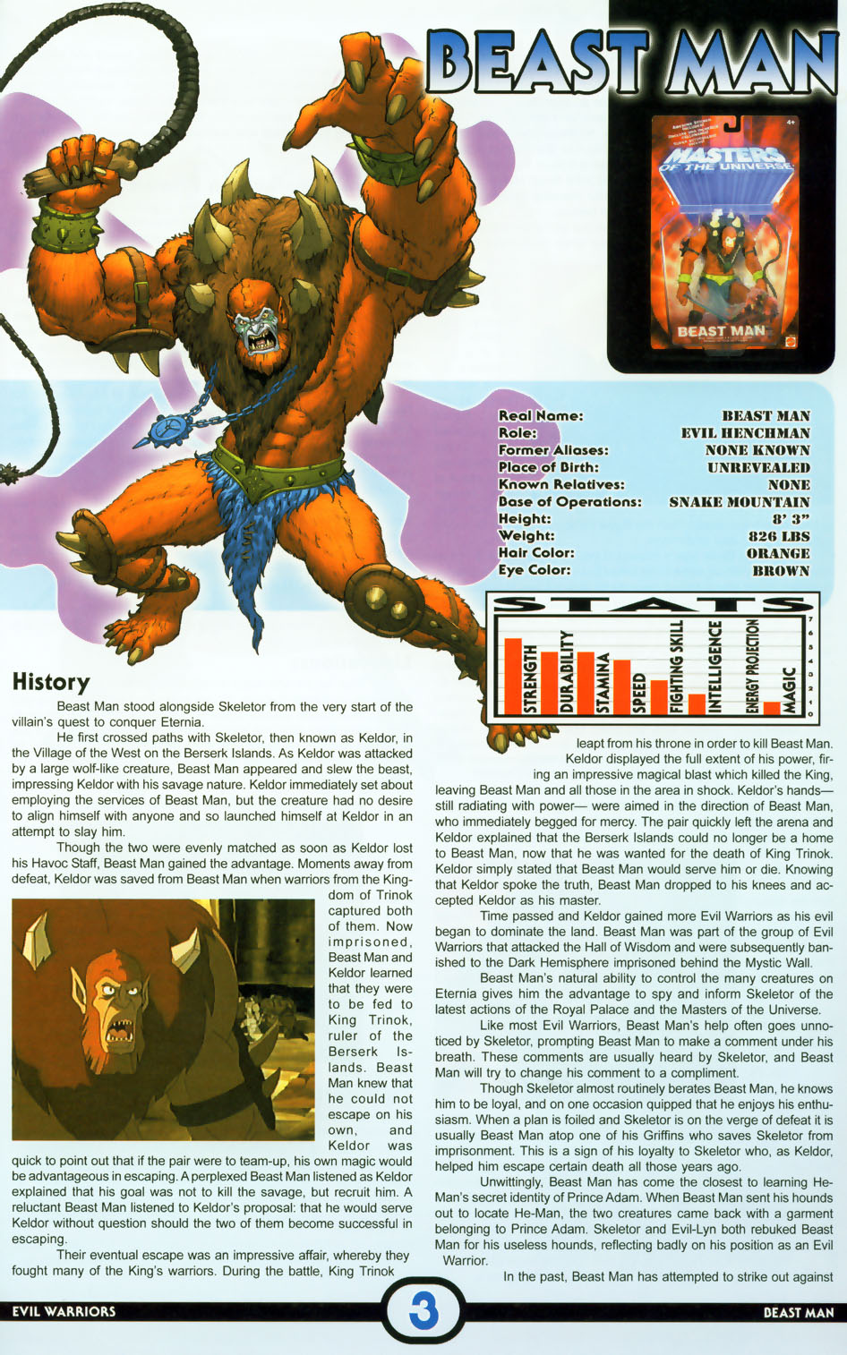 Read online Masters of the Universe Encyclopedia comic -  Issue # Full - 5