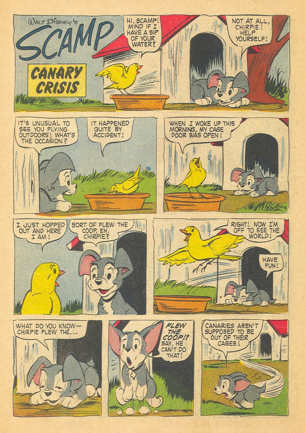 Read online Scamp (1958) comic -  Issue #11 - 22
