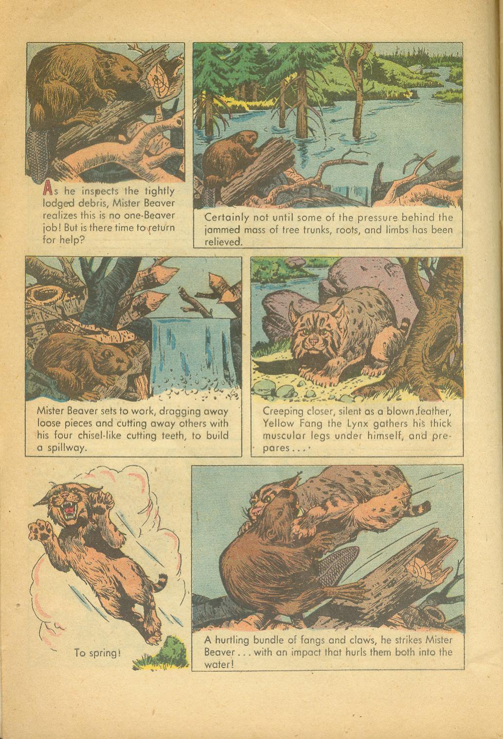 Read online Four Color Comics comic -  Issue #625 - 6