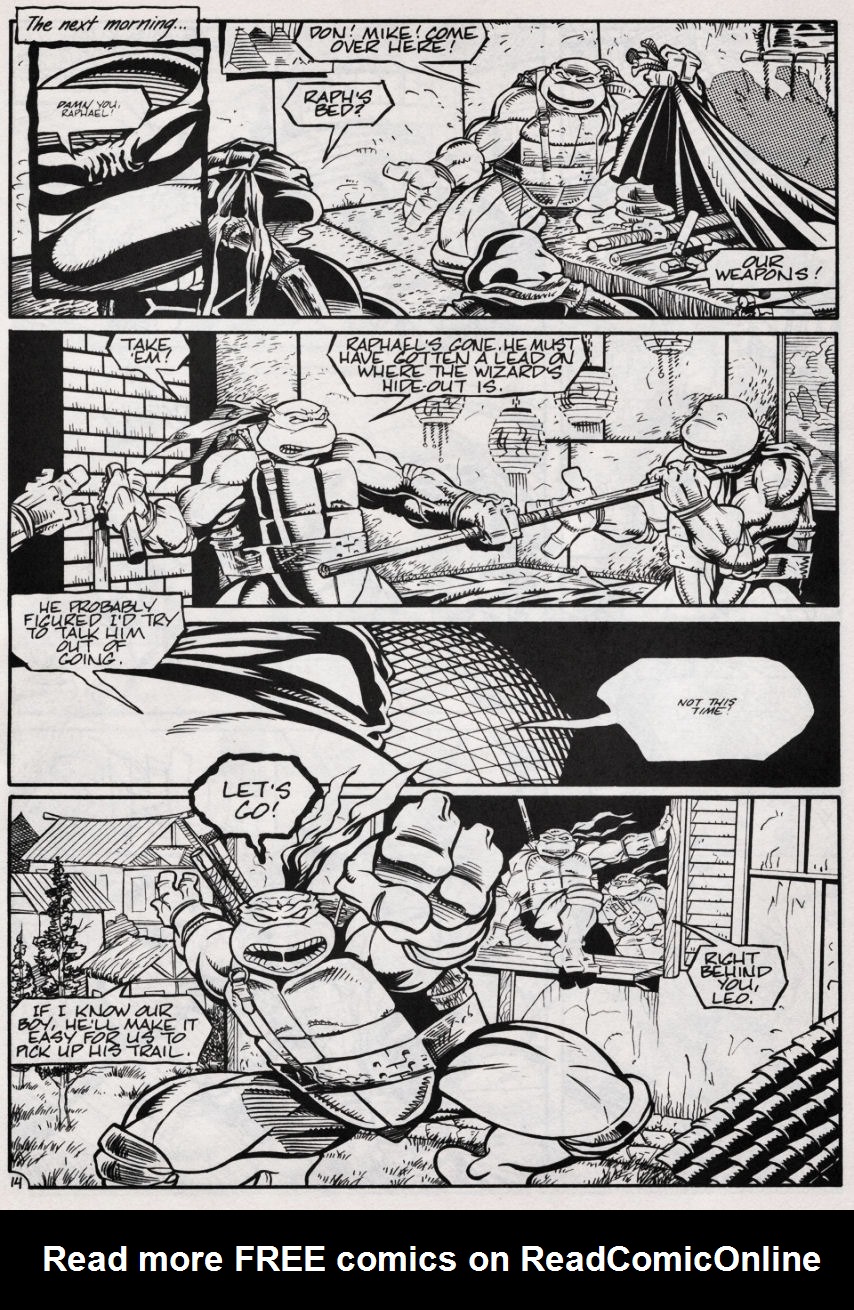 Teenage Mutant Ninja Turtles (1984) Issue #47 #47 - English 15