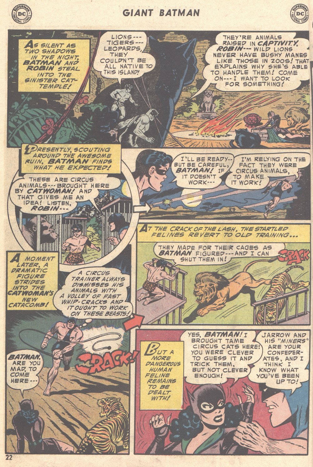 Read online Batman (1940) comic -  Issue #198 - 22