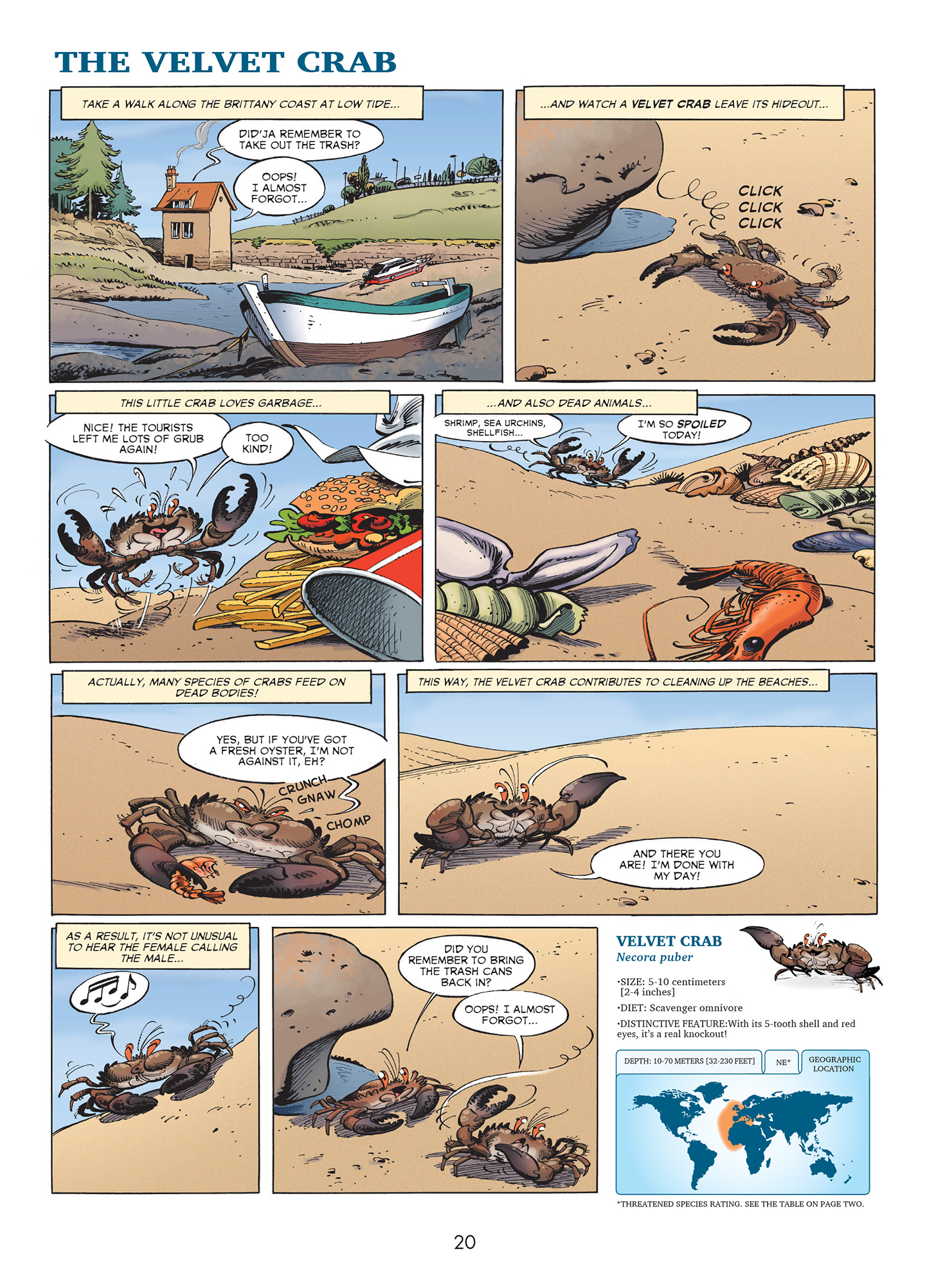 Read online Sea Creatures comic -  Issue #2 - 22
