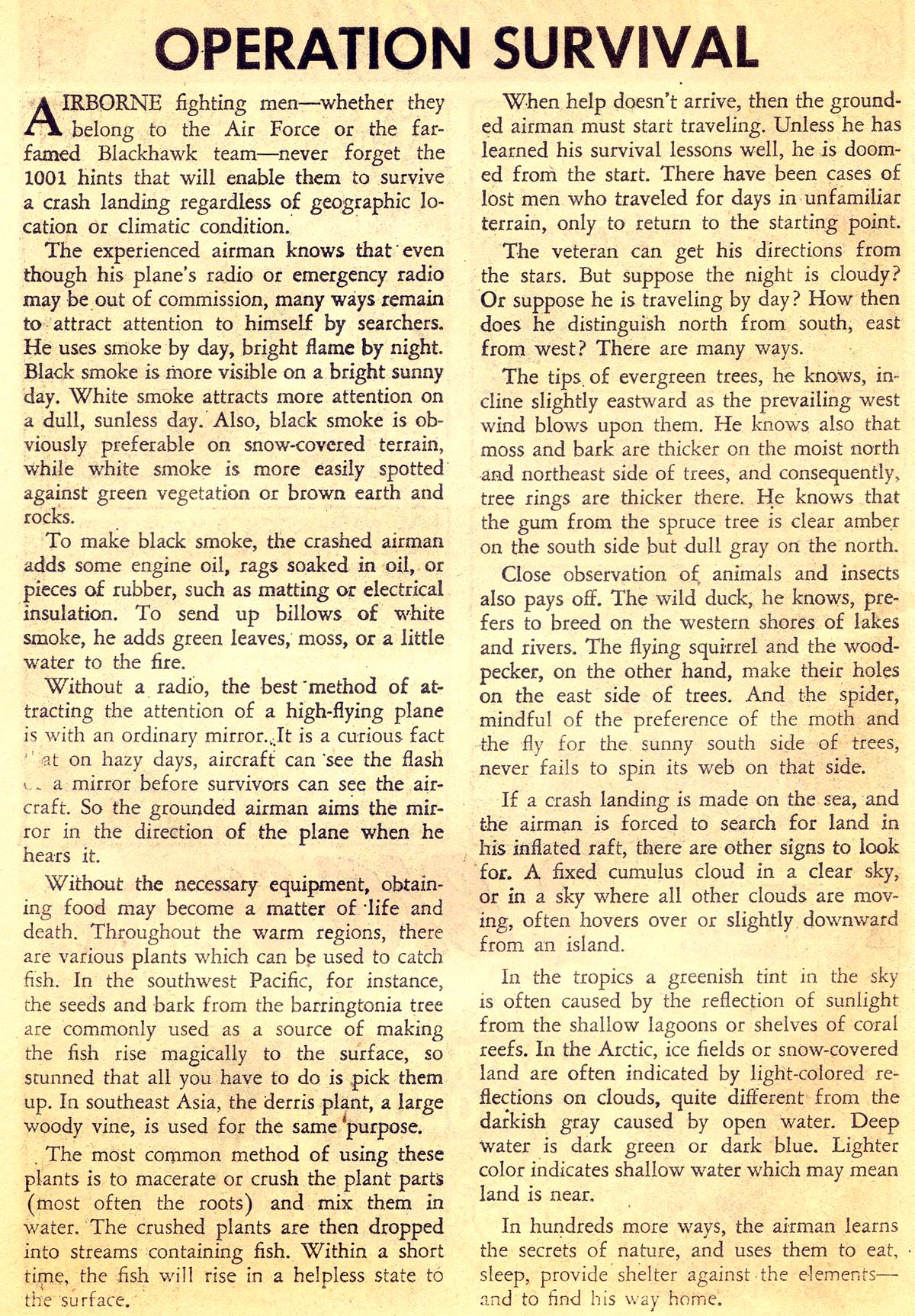 Blackhawk (1957) Issue #180 #73 - English 22
