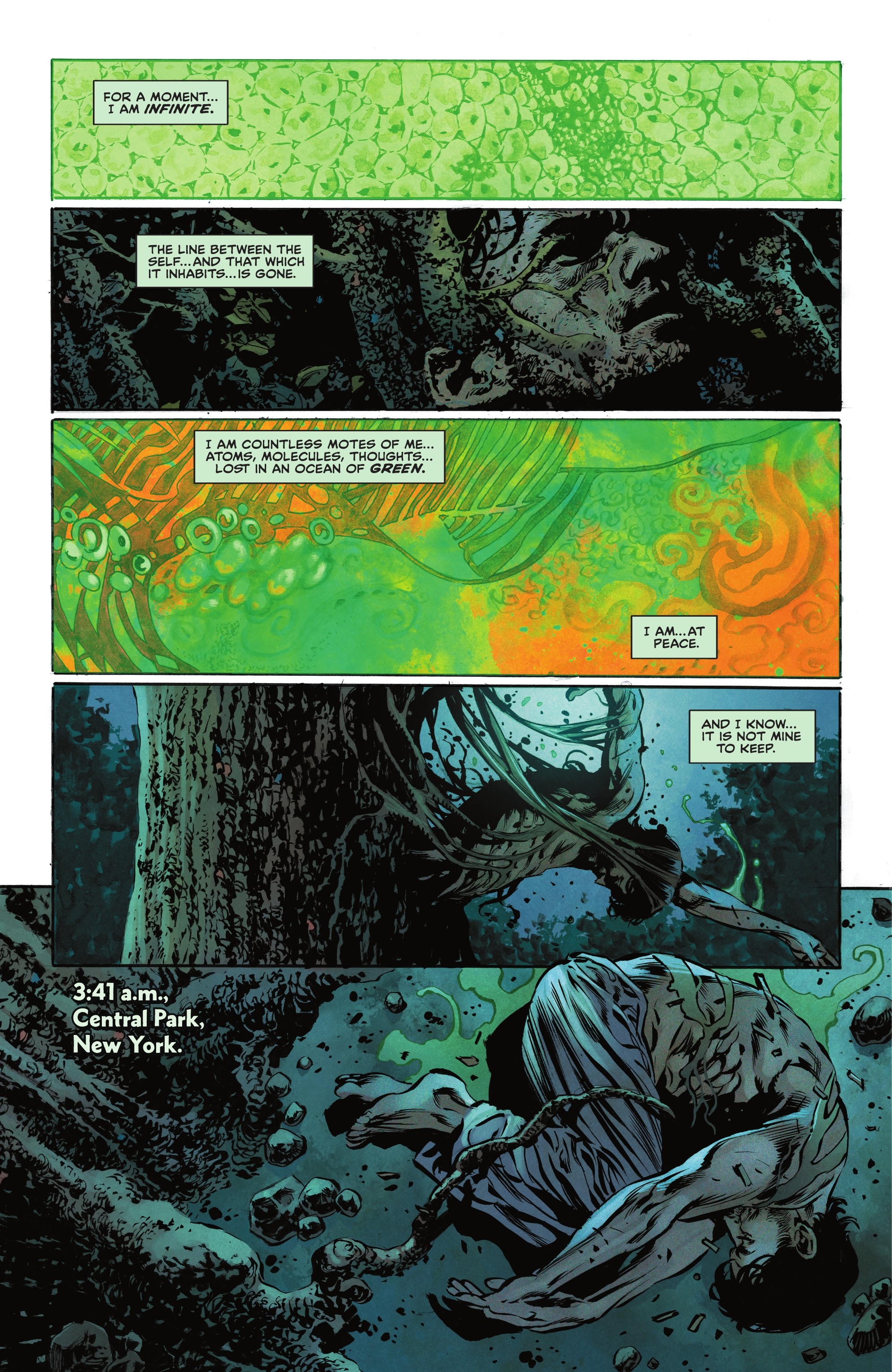Read online The Swamp Thing comic -  Issue #2 - 3
