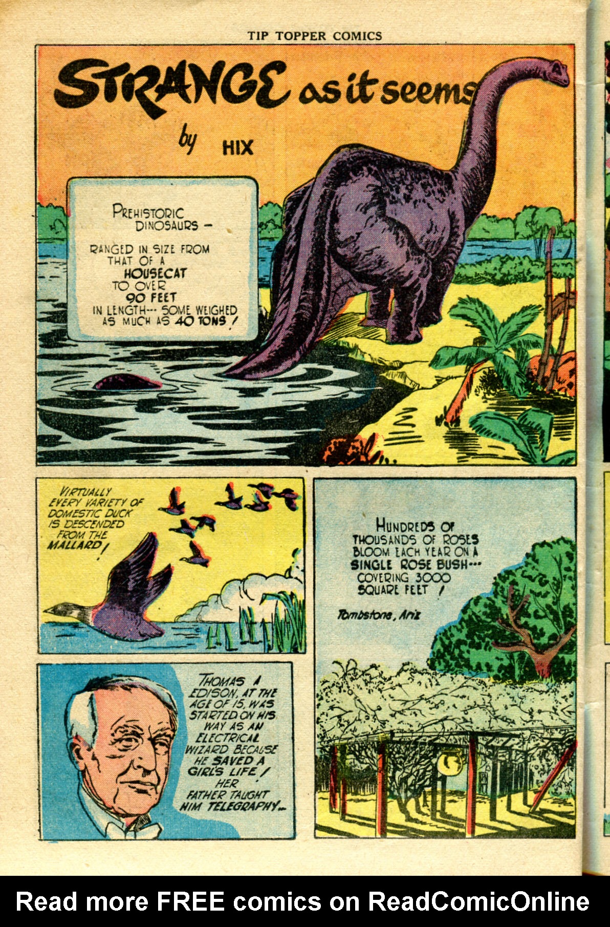 Read online Tip Topper Comics comic -  Issue #2 - 48