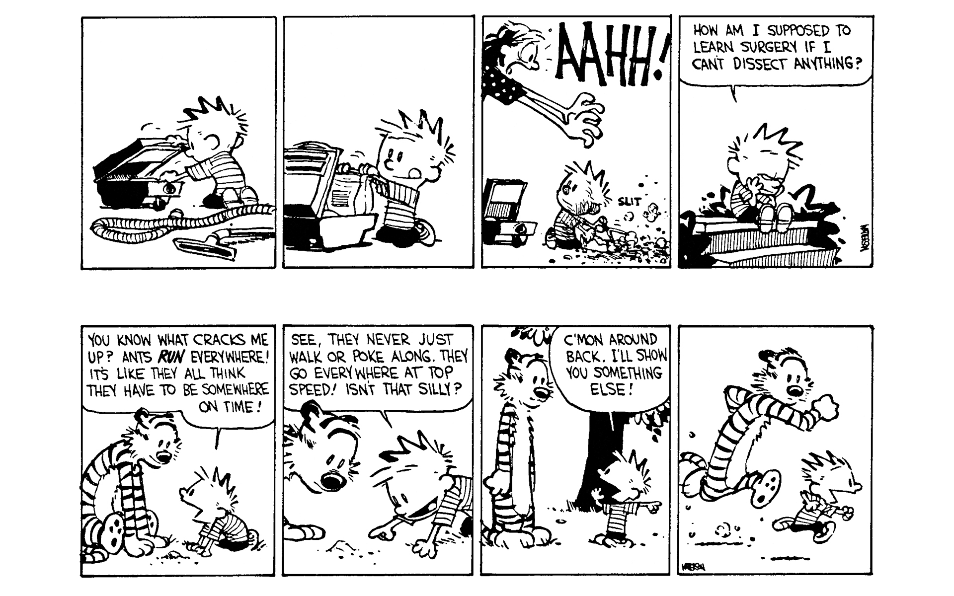 Read online Calvin and Hobbes comic -  Issue #7 - 22