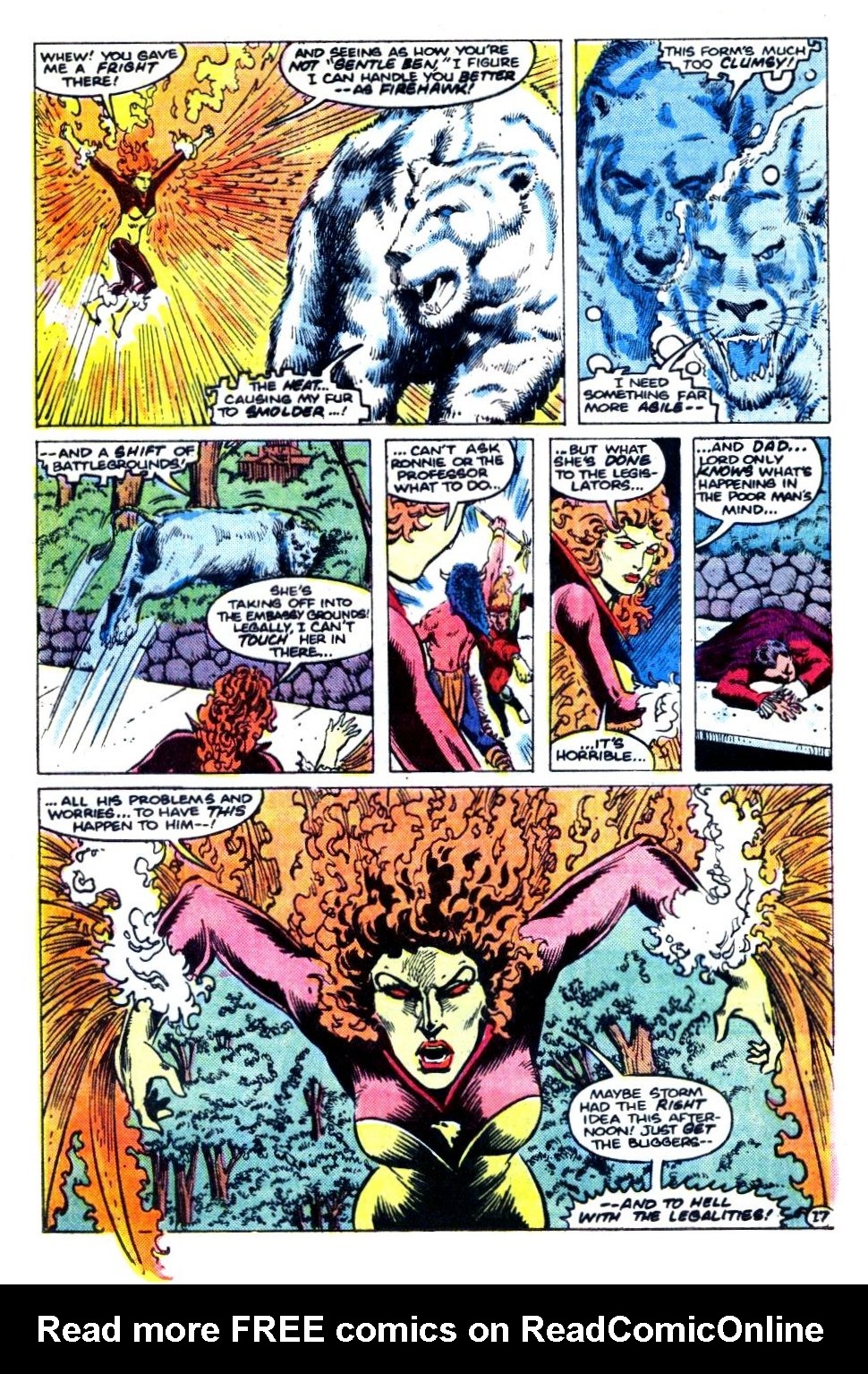 The Fury of Firestorm Issue #27 #31 - English 18