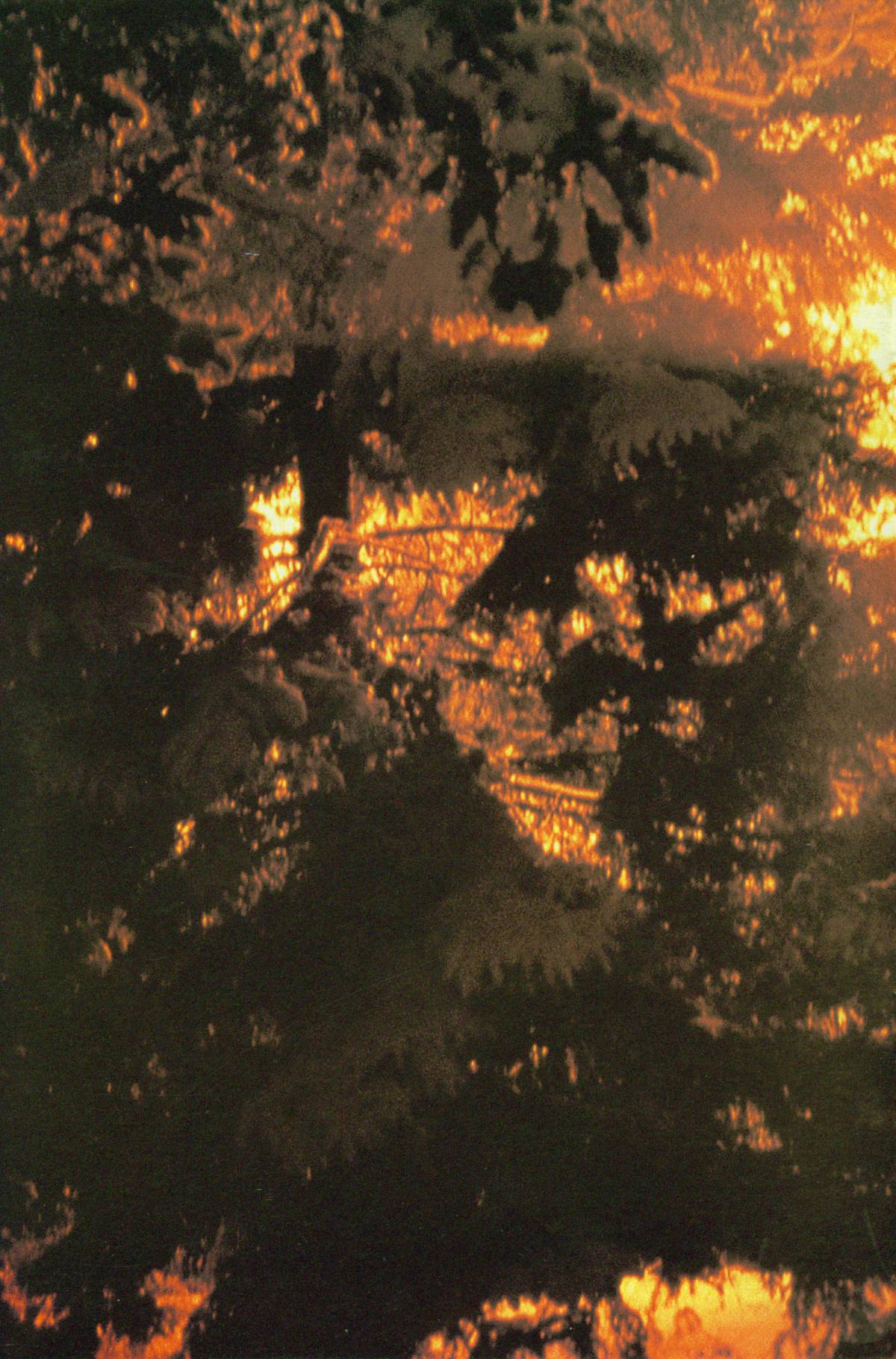 Read online Cerebus comic -  Issue #264 - 29