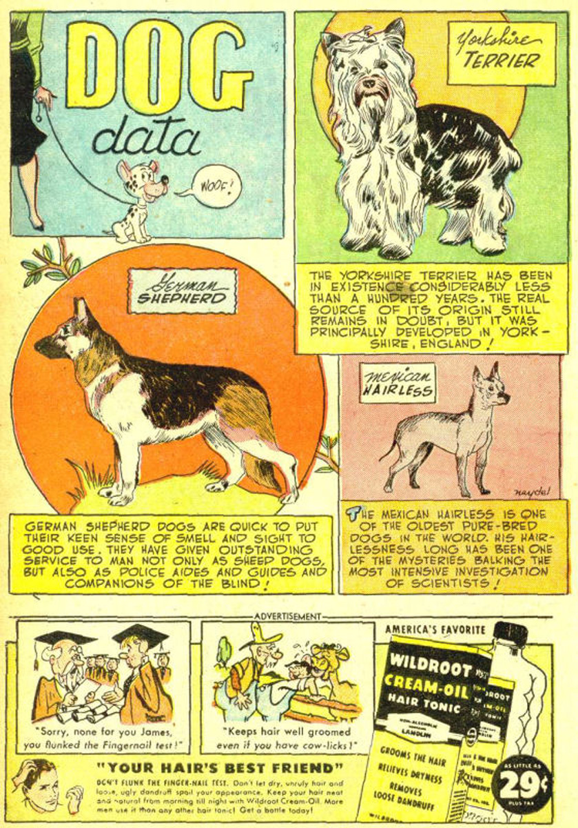 Read online The Adventures of Rex the Wonder Dog comic -  Issue #3 - 12