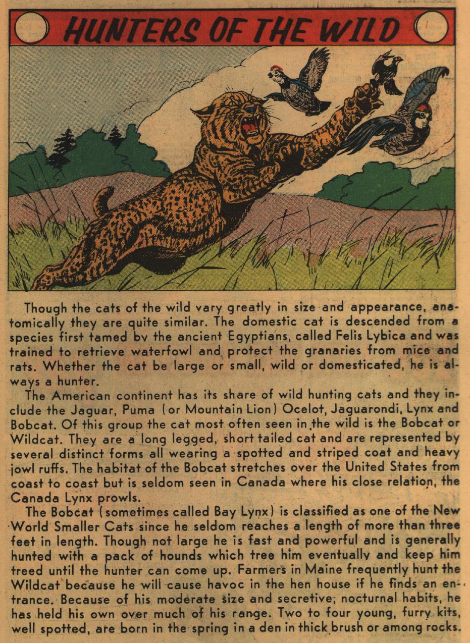 Read online Cosmo the Merry Martian comic -  Issue #3 - 27