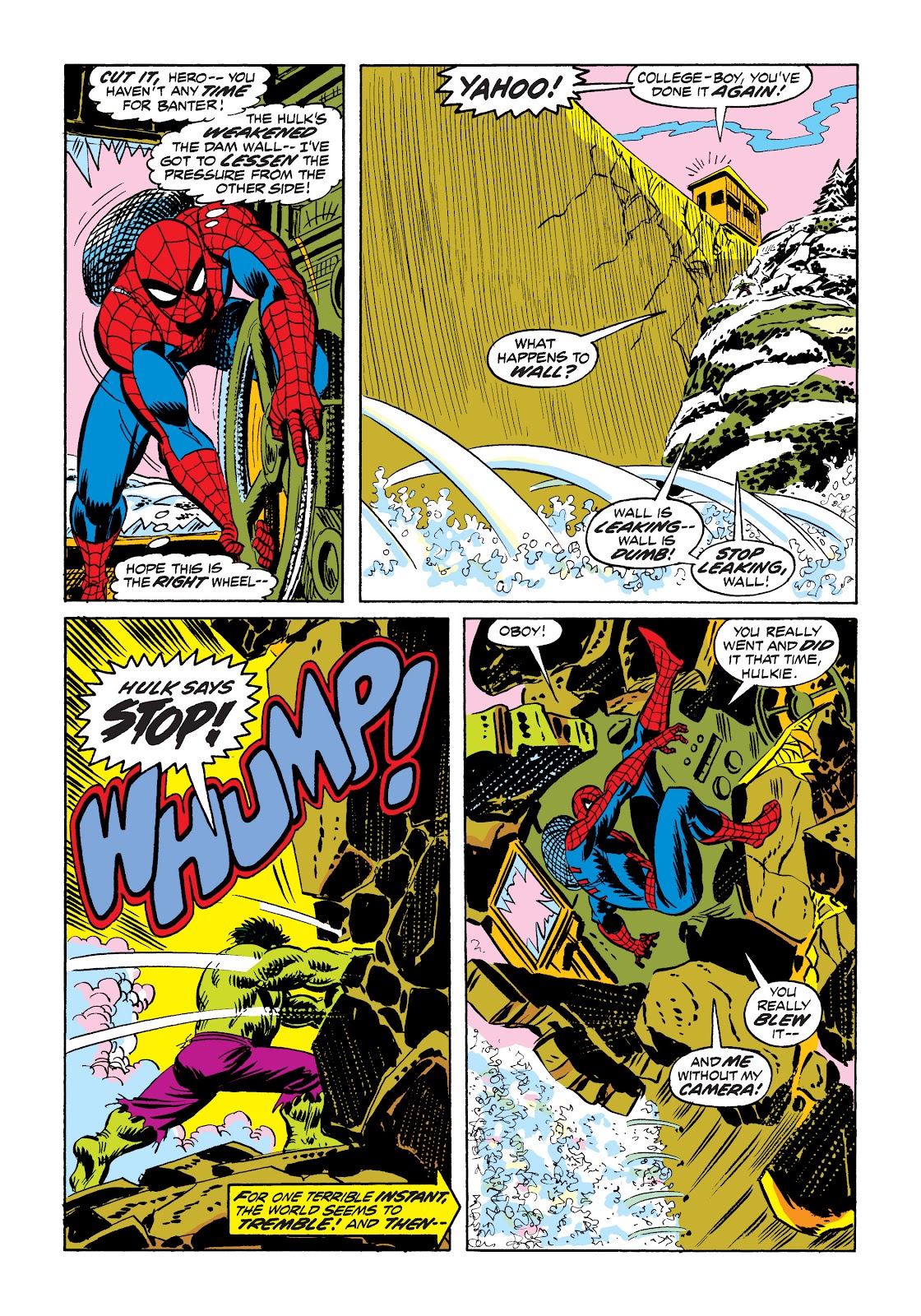 The Amazing Spider-Man (1963) issue 119 - Page 20