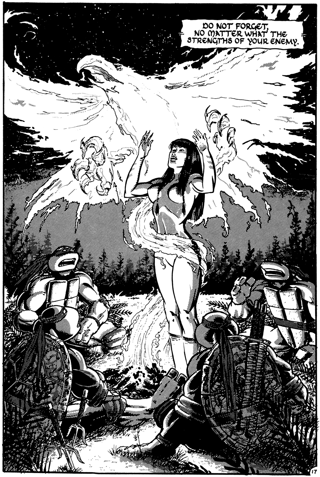 Read online Teenage Mutant Ninja Turtles (1984) comic -  Issue #27 - 17