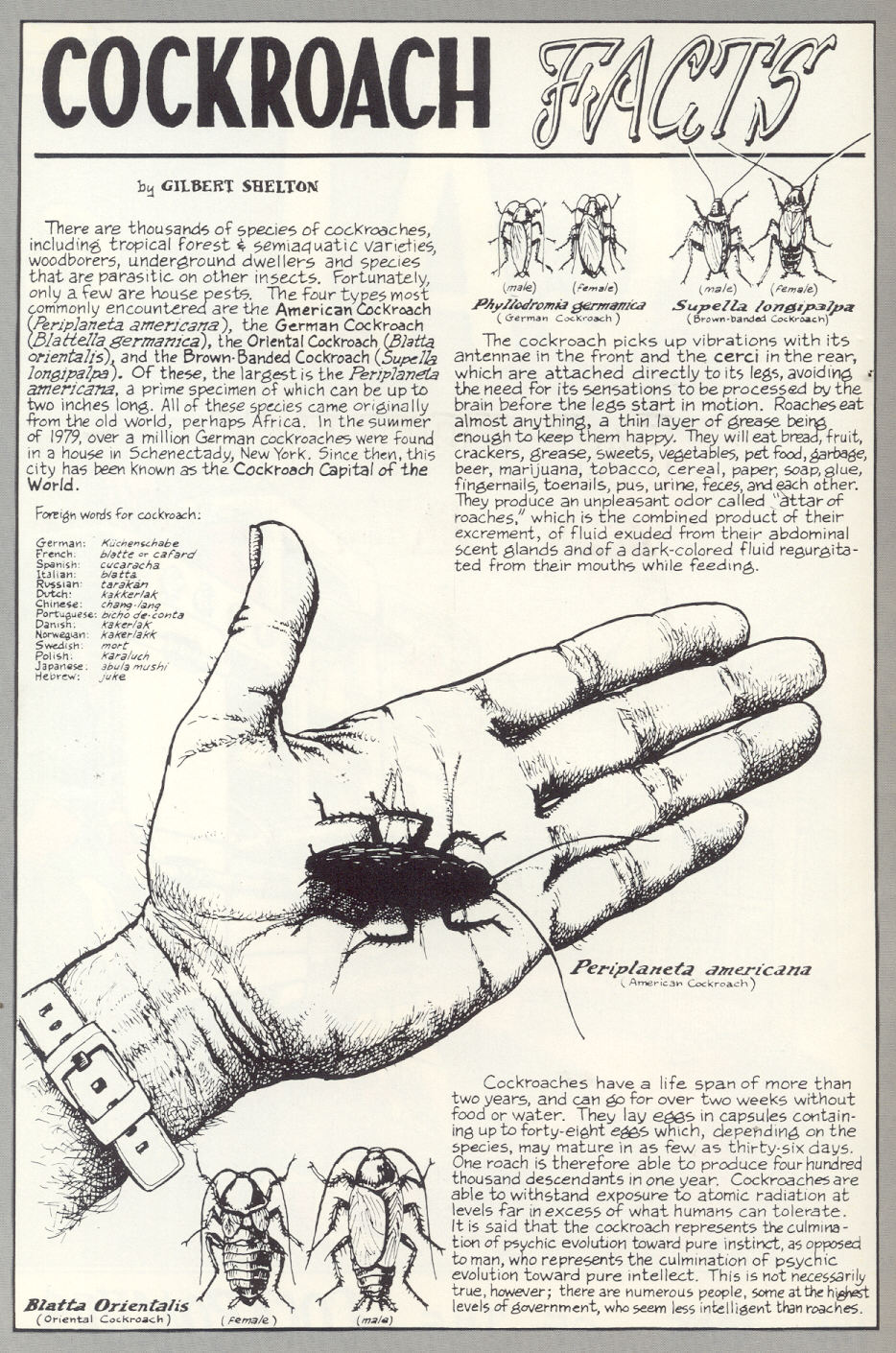 Read online Adventures of Fat Freddy's Cat comic -  Issue #6 - 2