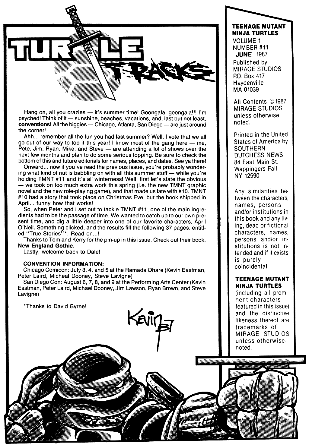 Teenage Mutant Ninja Turtles (1984) Issue #11 #11 - English 2