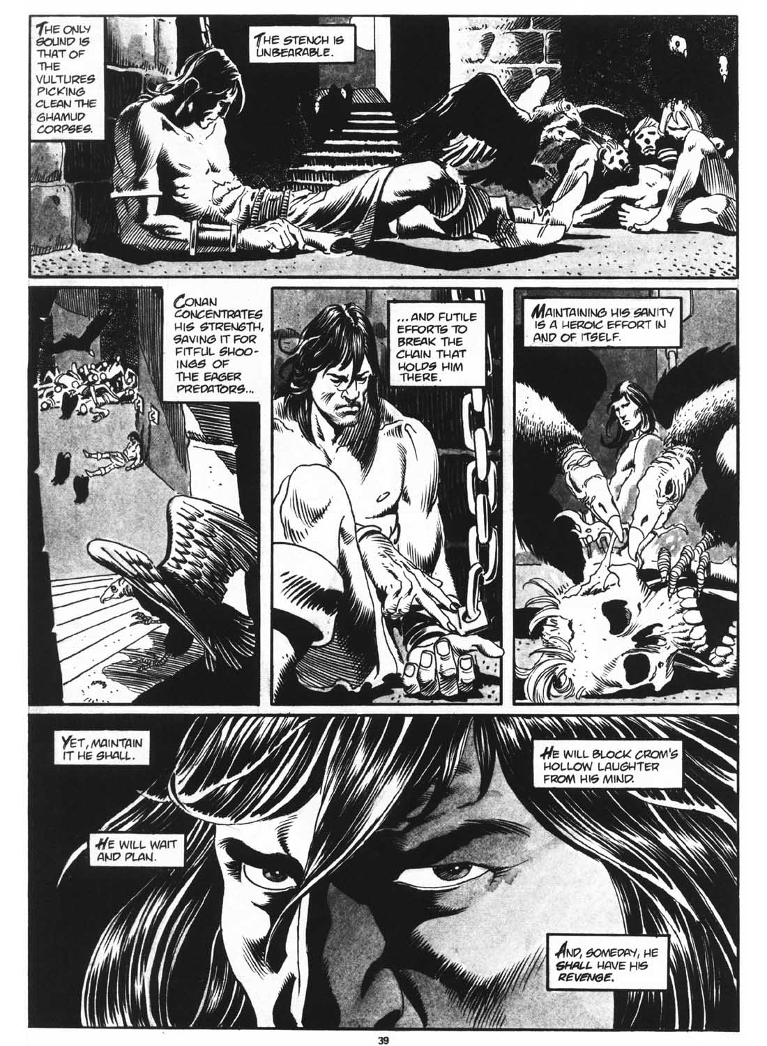 The Savage Sword Of Conan issue 160 - Page 41