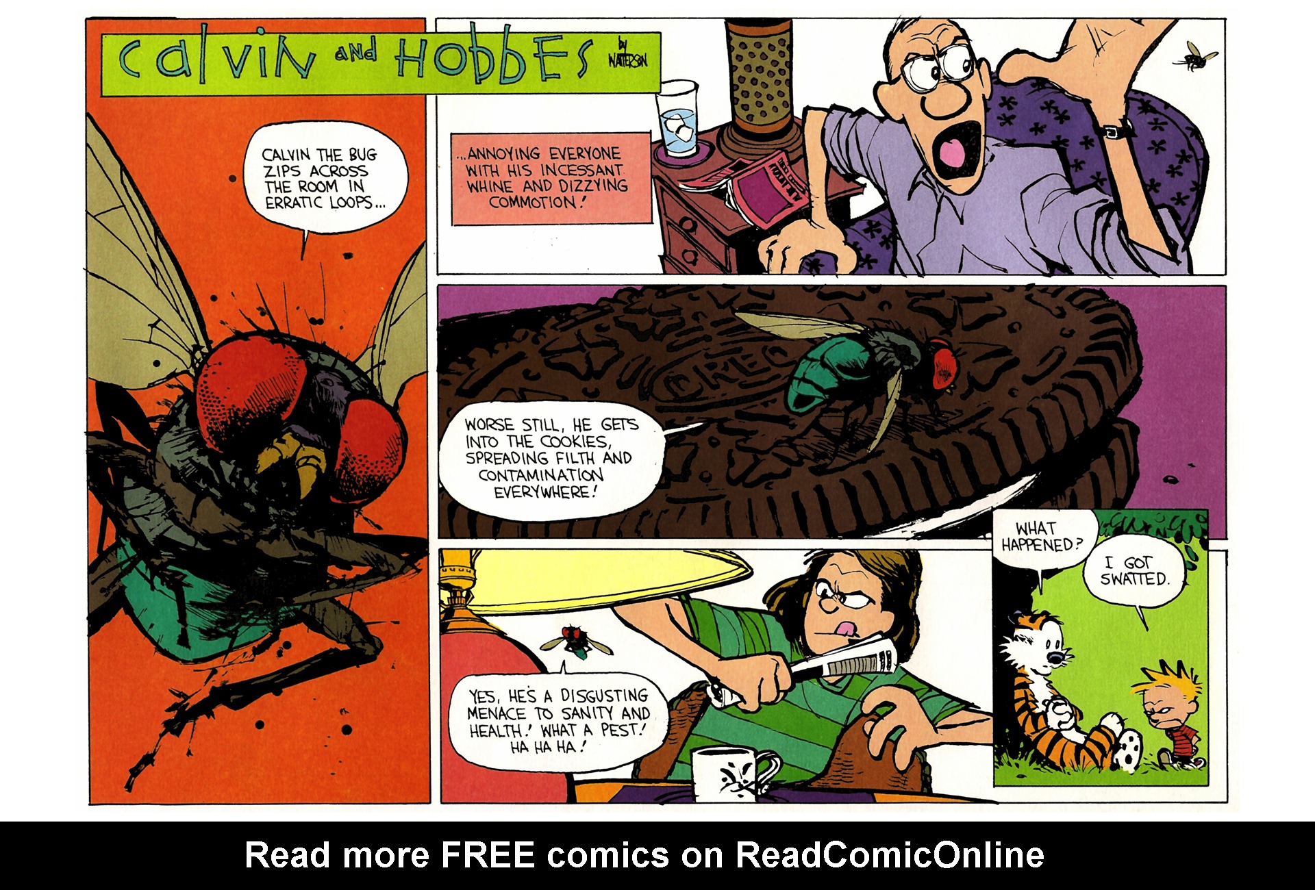 Read online Calvin and Hobbes comic -  Issue #8 - 92