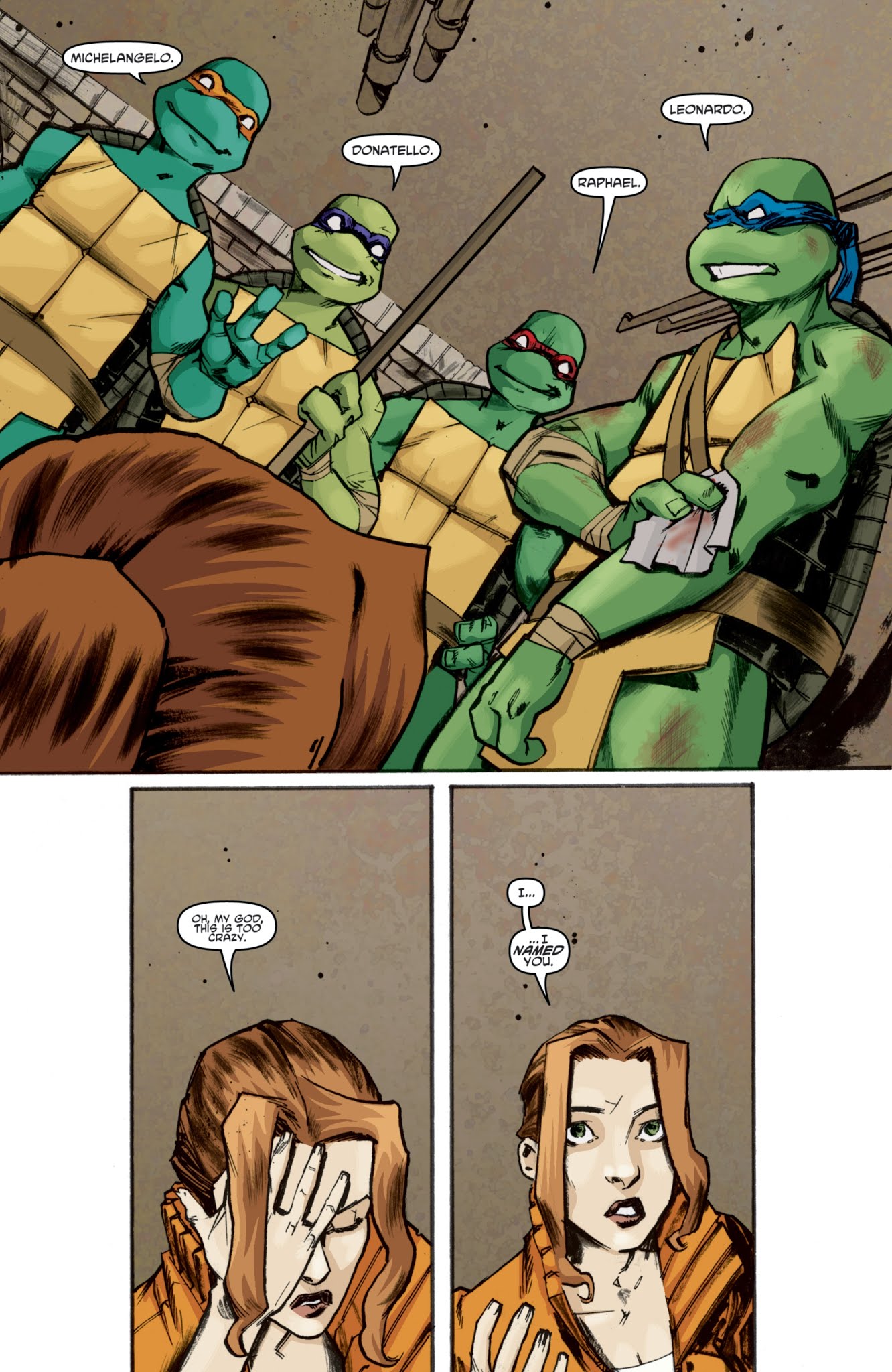 Read online Teenage Mutant Ninja Turtles: The IDW Collection comic -  Issue # TPB 1 (Part 4) - 5