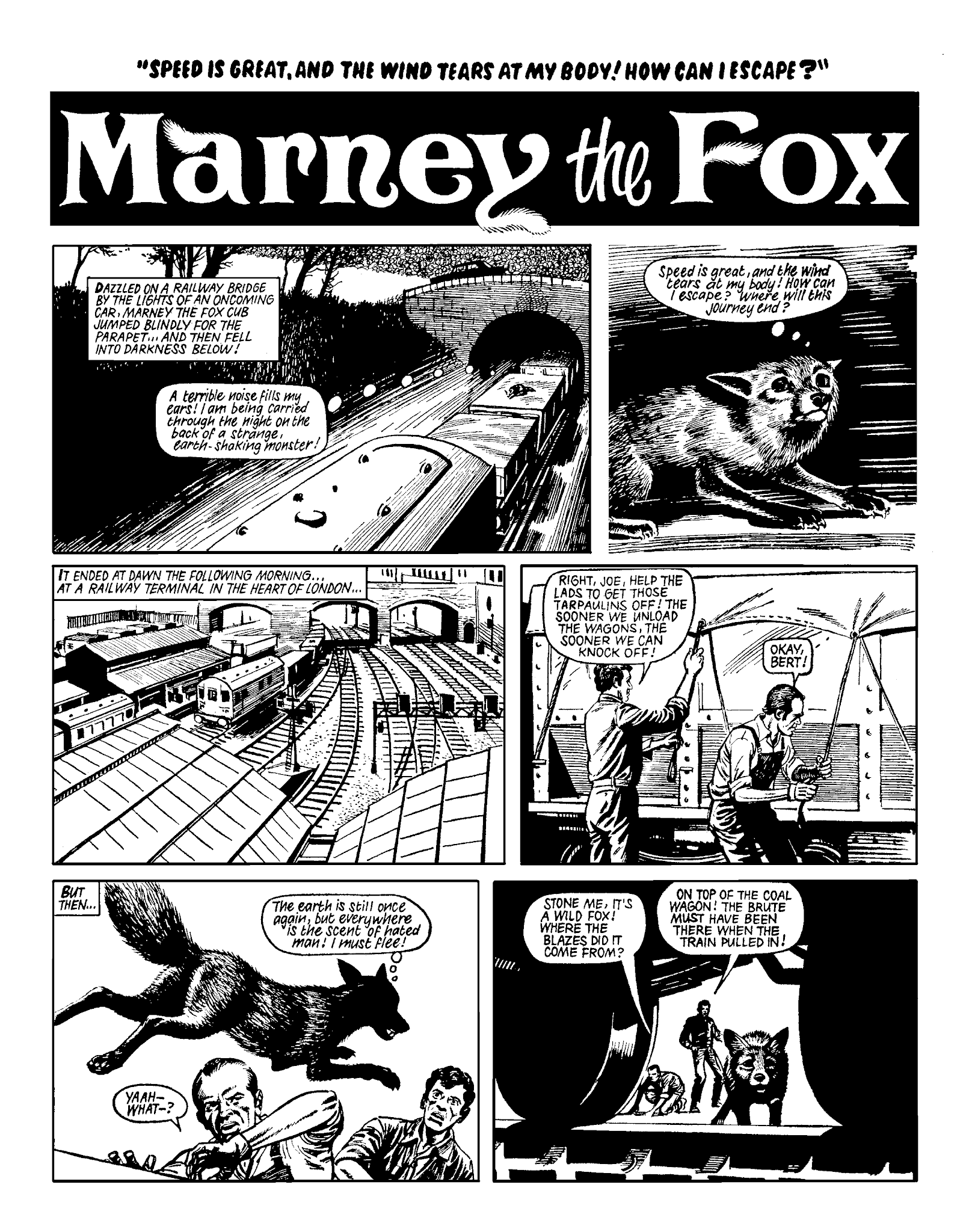 Read online Marney the Fox comic -  Issue # TPB (Part 2) - 48