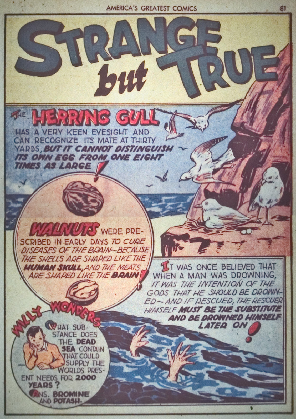 Read online America's Greatest Comics comic -  Issue #1 - 84