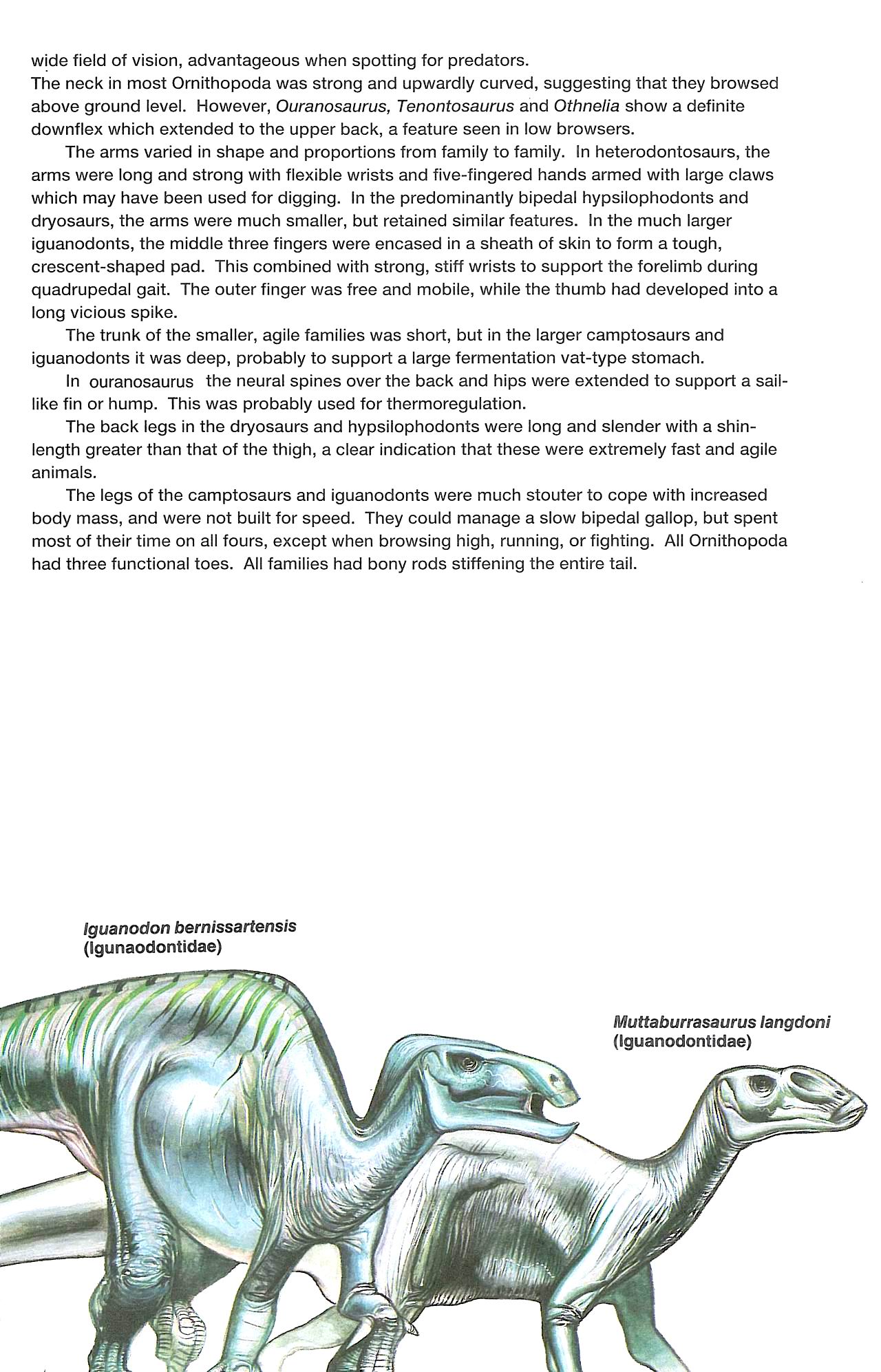 Read online Dinosaurs, A Celebration comic -  Issue #3 - 14