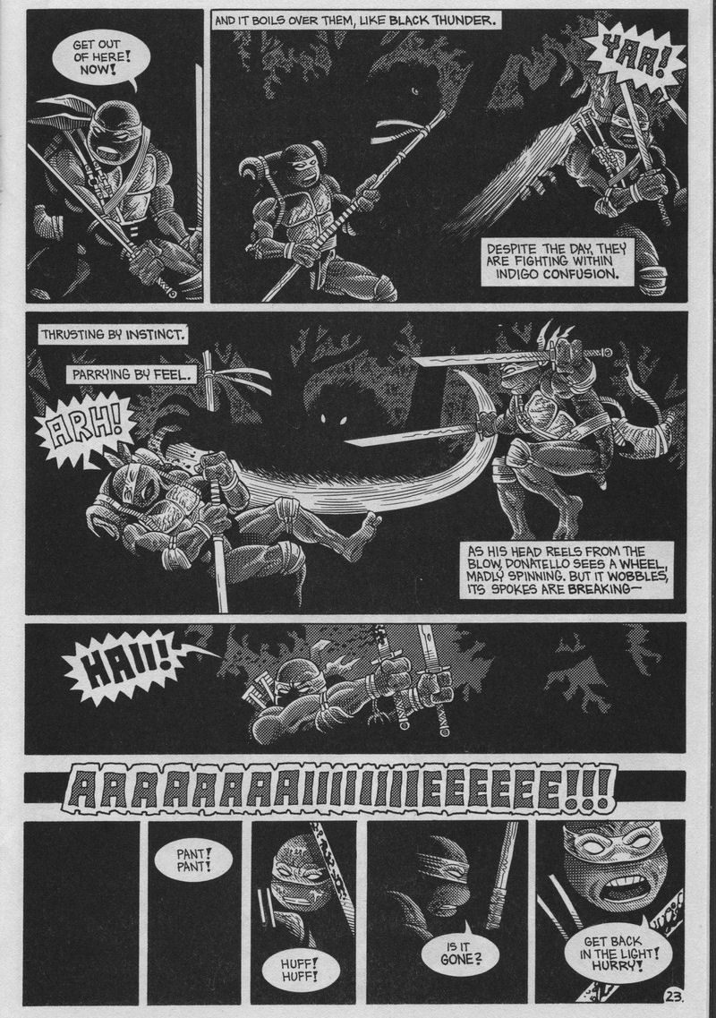 Read online Teenage Mutant Ninja Turtles (1984) comic -  Issue #37 - 23