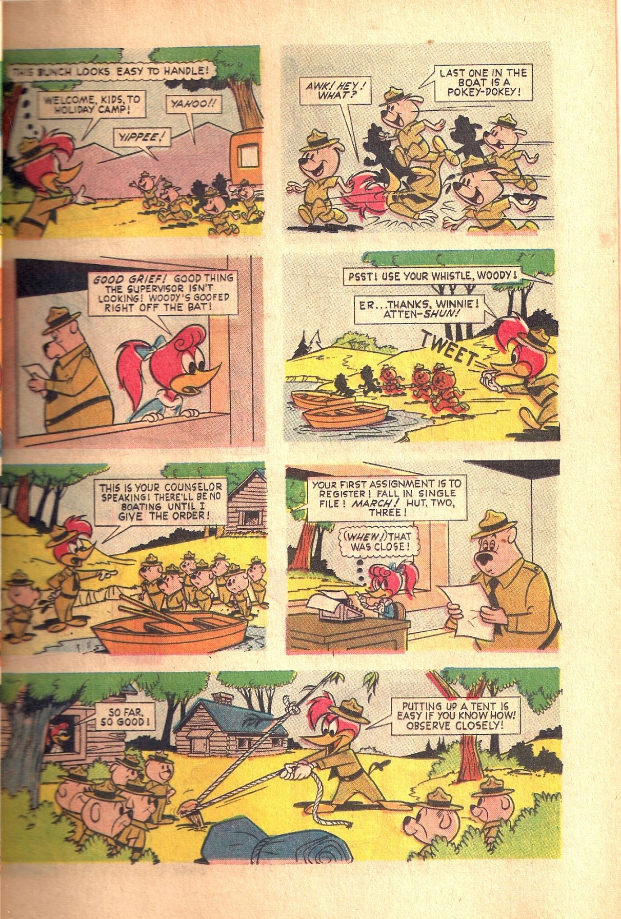 Read online Walter Lantz Woody Woodpecker (1962) comic -  Issue #74 - 49