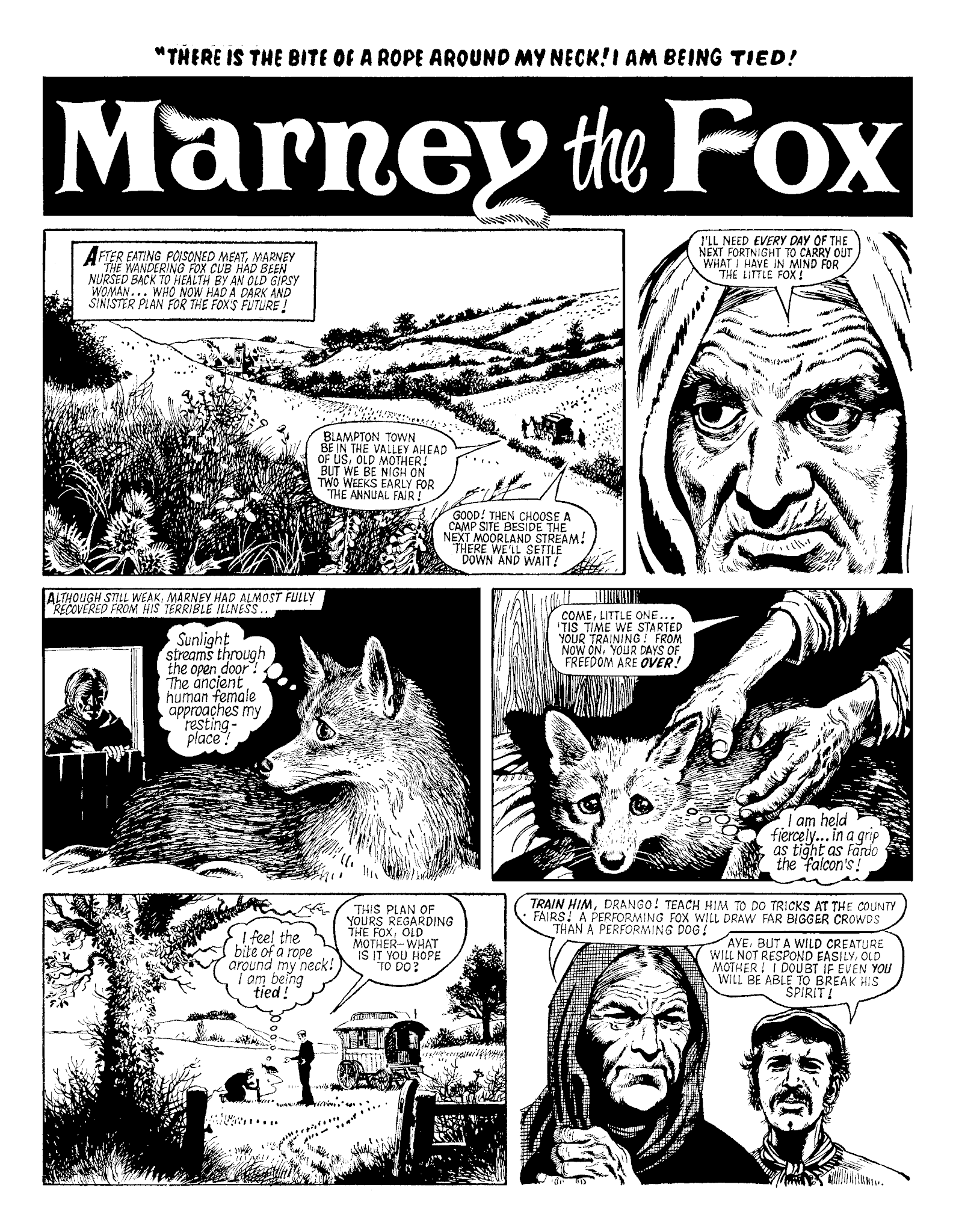Read online Marney the Fox comic -  Issue # TPB (Part 1) - 97