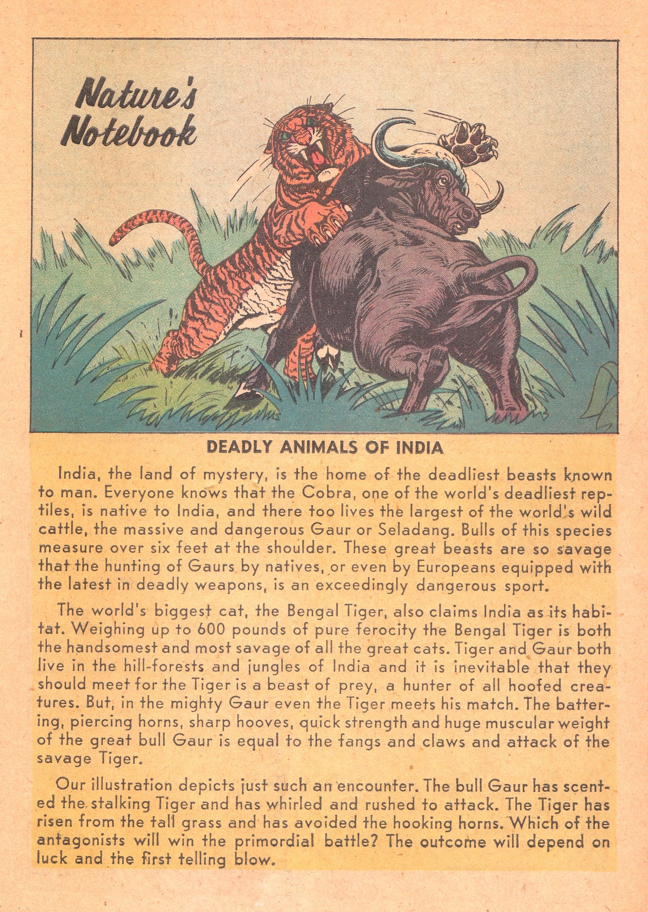 Read online Archie's Pal Jughead comic -  Issue #50 - 27