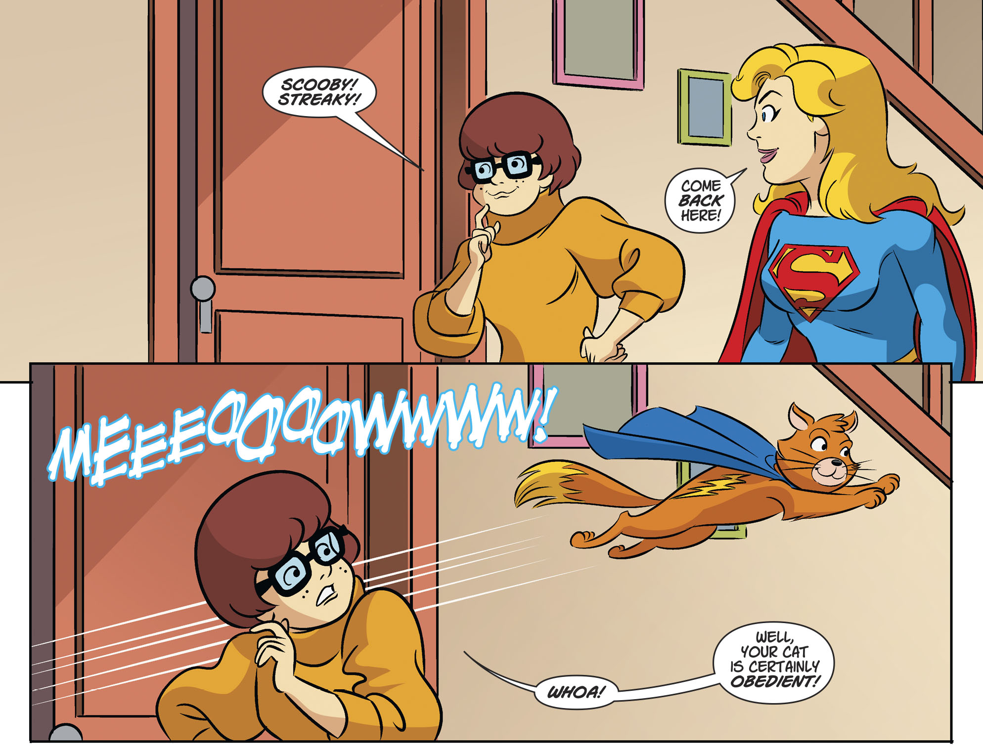 Read online Scooby-Doo! Team-Up comic -  Issue #73 - 14