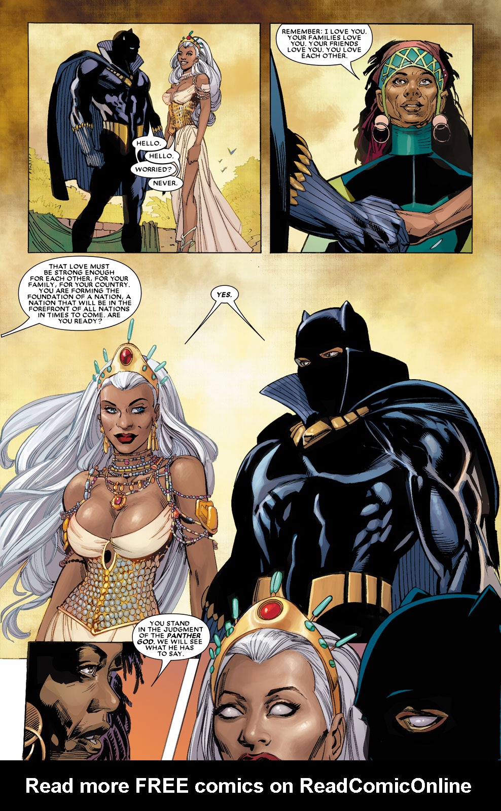 Read online Black Panther (2005) comic -  Issue #18 - 22